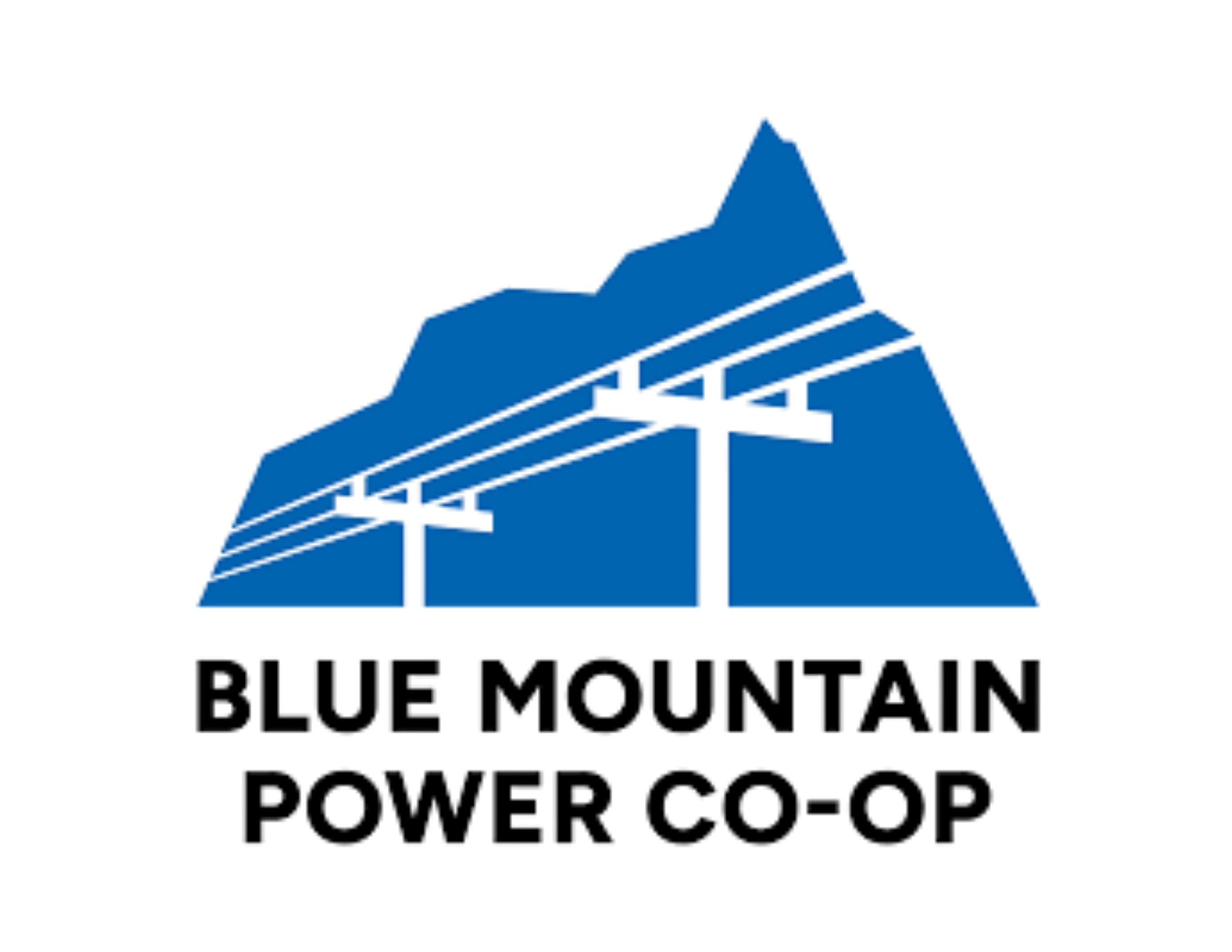 Blue Mountain Power Co-op