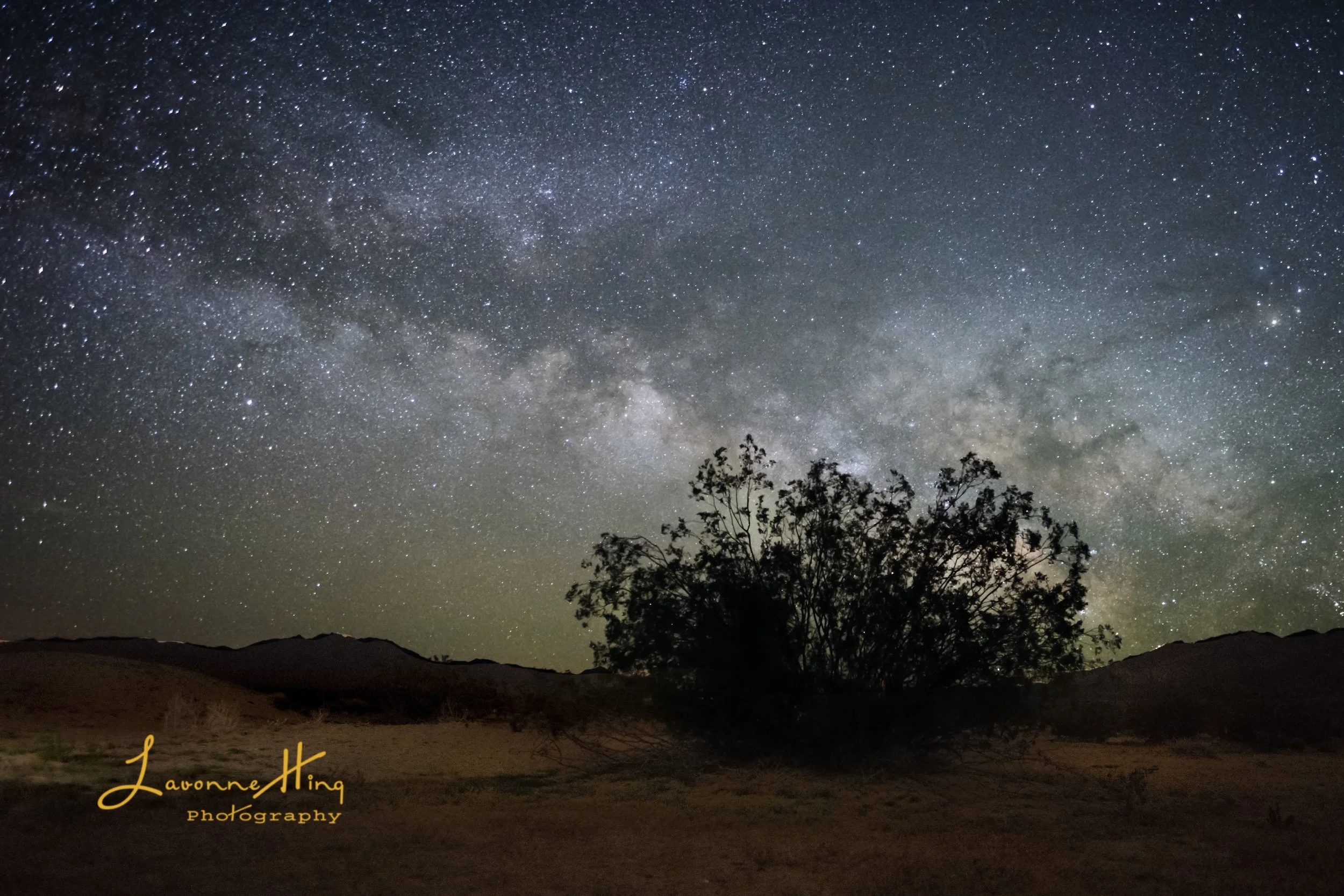 Kelso Dunes Milky Way Red-1.
Pure excitement of the evening rose as the Milky Way was visibly rising in the distance! I liked the way I processed this sky with the blues more prominent.
Nikon D810 with Nikon 20mm 1.6 lens. f/2.2, 15 sec., ISO 32