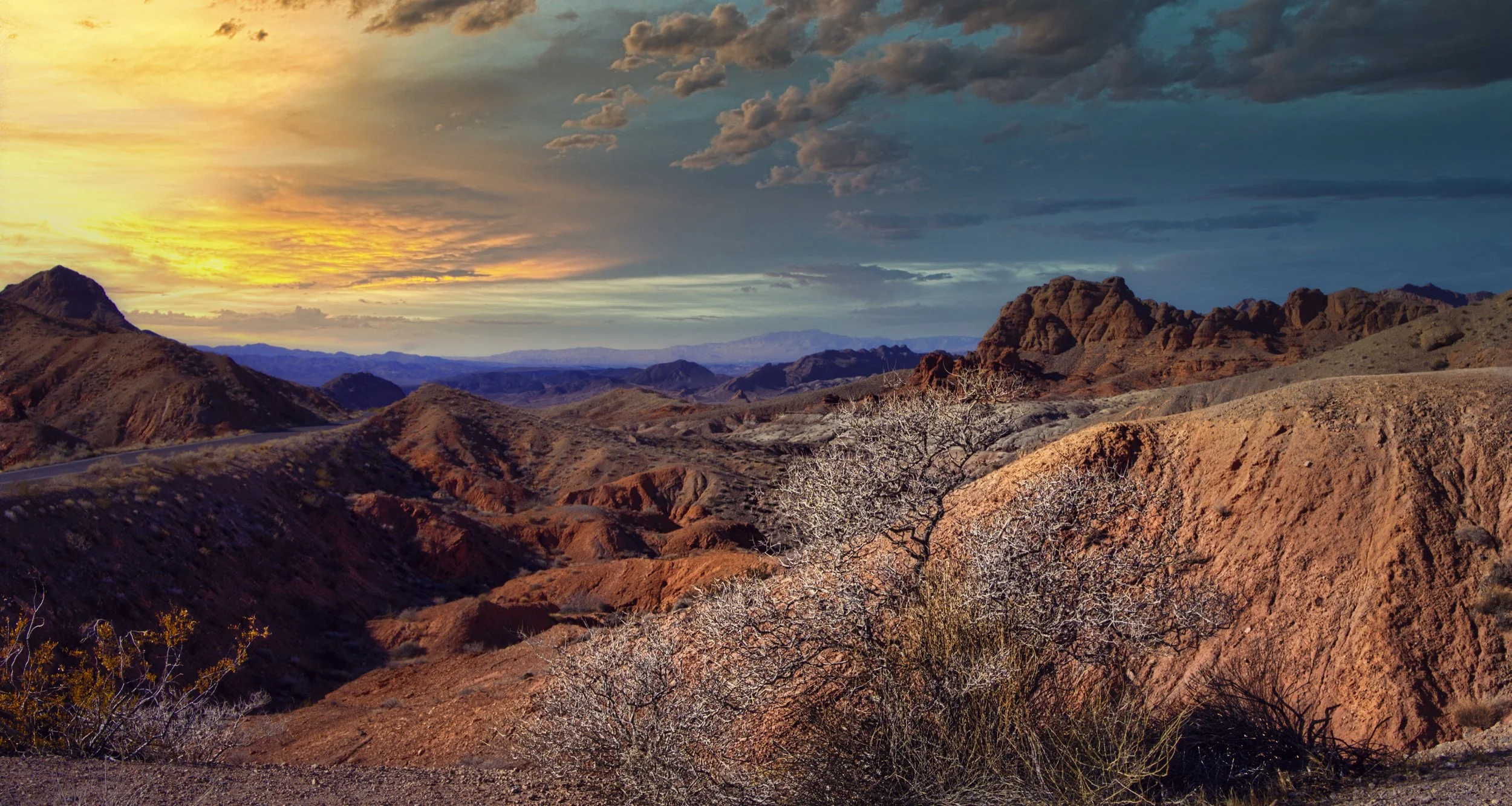 Lake Mead NP, NV - Delight in the morning.