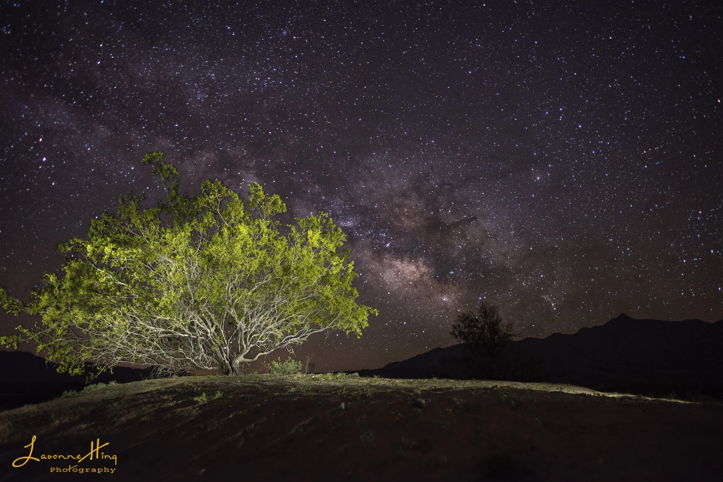 Kelso Dunes, CA Milky way, taken at 2:32 am 4/25/2020.
I knew I was hooked on night photography when I realized it was 2:32 in the morning and I was dashing around the cooled down sand dunes to catch this magnificent spectacle in the night, the Mil