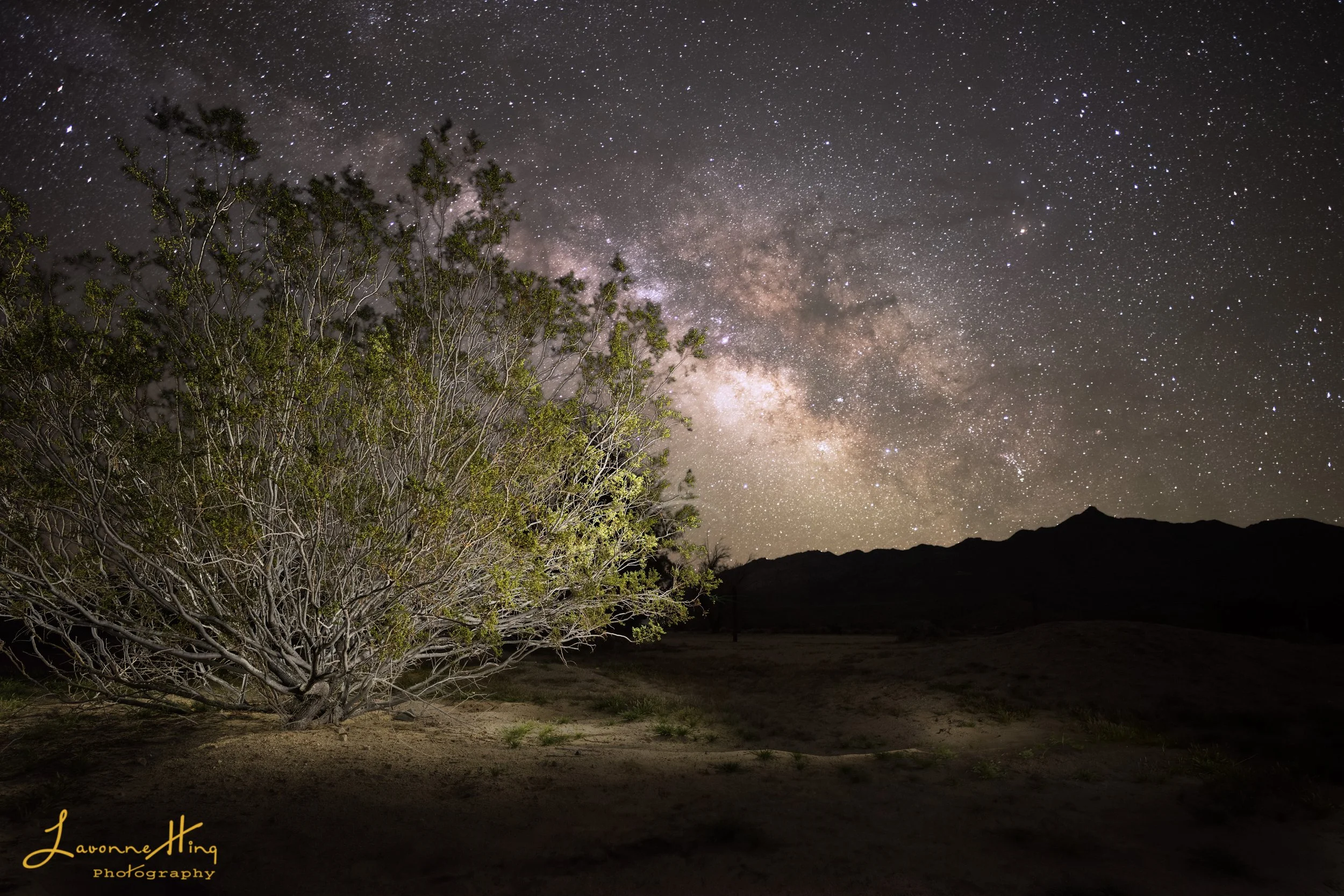 Kelso Dunes Just A Bush, 4/28/2020, 2:32 am.
Pure excitement of the evening rose as the Milky Way was visibly rising in the distance!
Nikon D810 with Nikon 20mm 1.6 lens. f/5.6, 10 sec., ISO 800.
