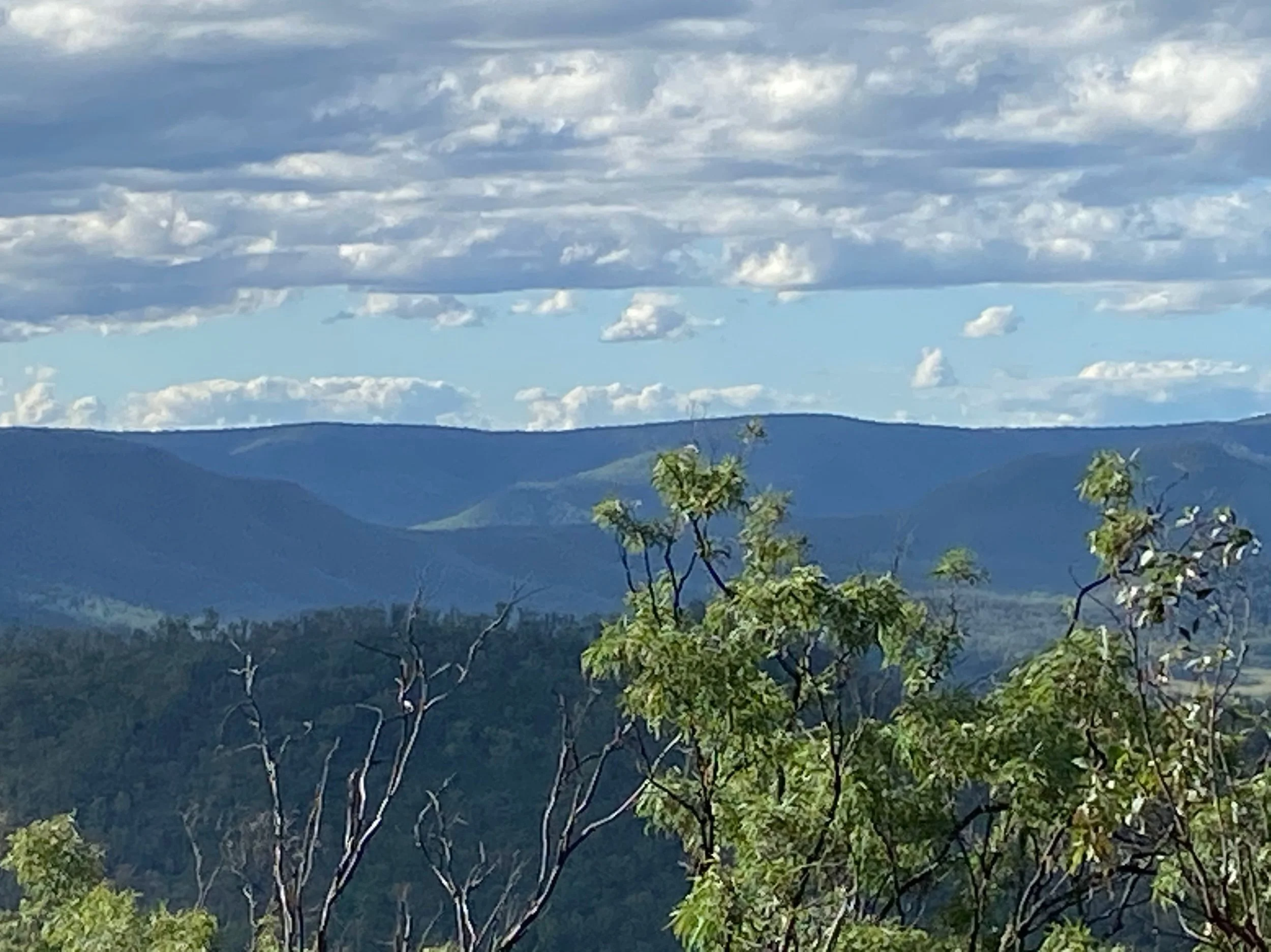 The meaning behind “Baribun”