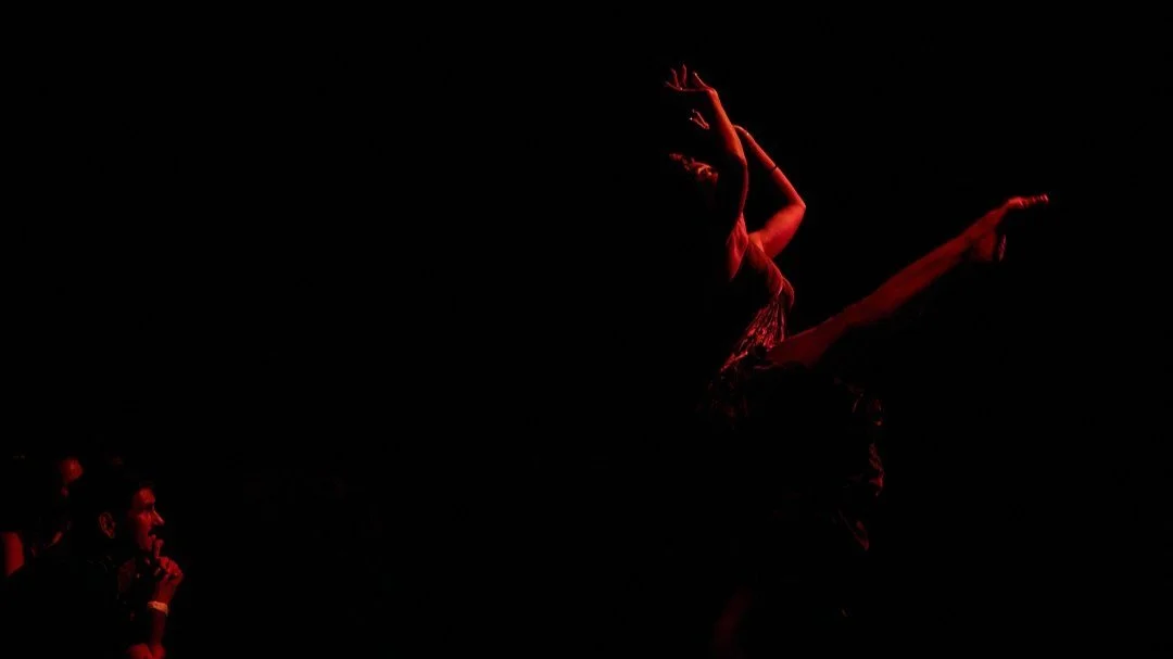 A performer on stage with a spotlight, seen in a red silhouette, and an audience member in the foreground watching.