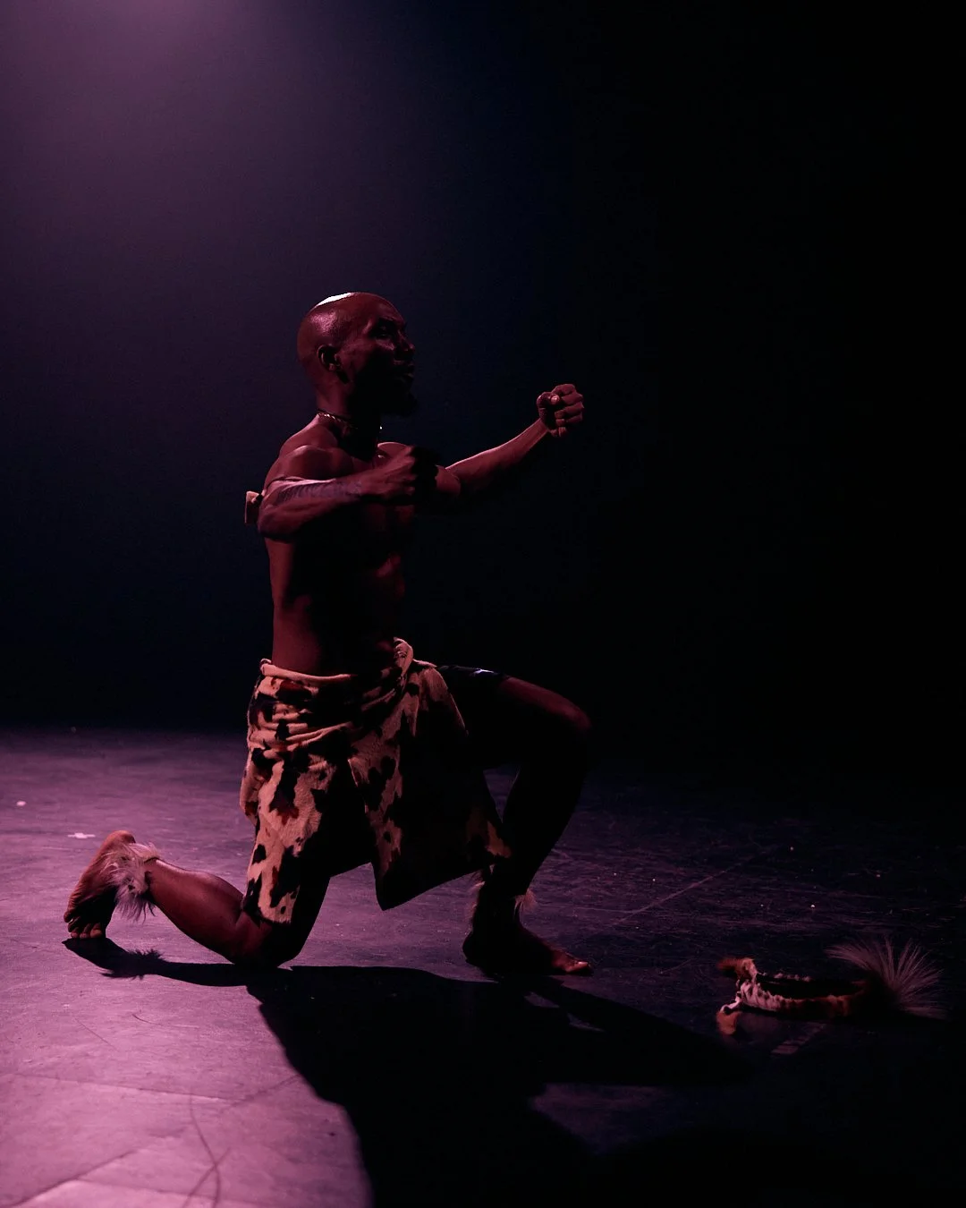 A performer dressed in animal print clothing kneels on stage with one knee down and fists clenched, illuminated by dramatic dark lighting with a purple hue, and a small prop resembling a spear or staff on the ground nearby.