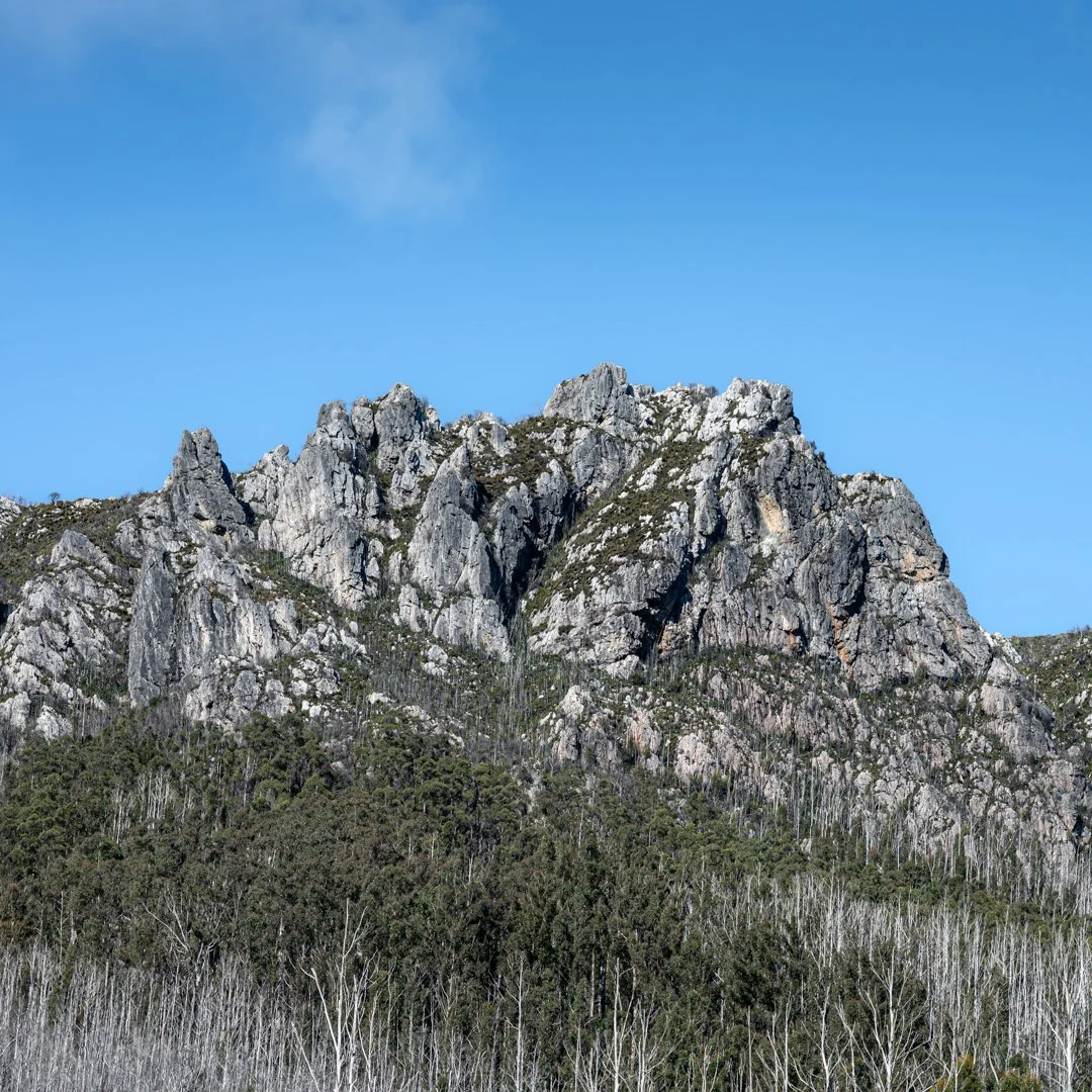 Crevice
