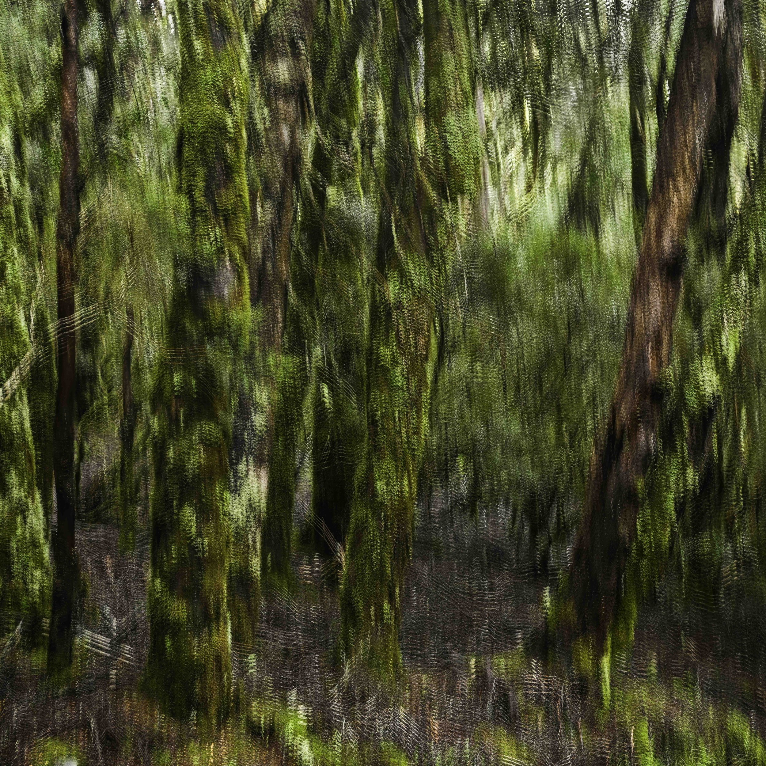 Places Within | 1