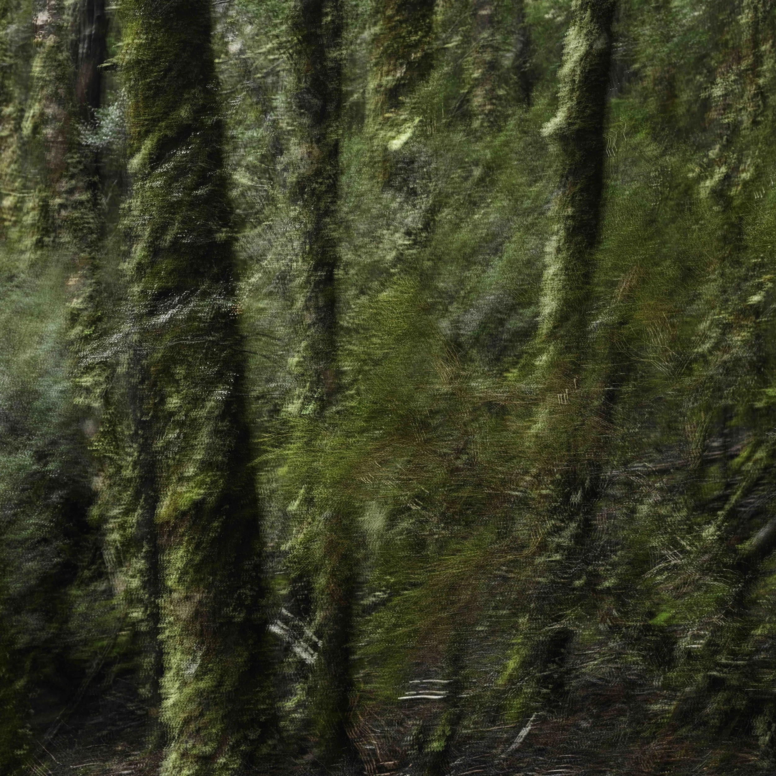 Places Within | 2