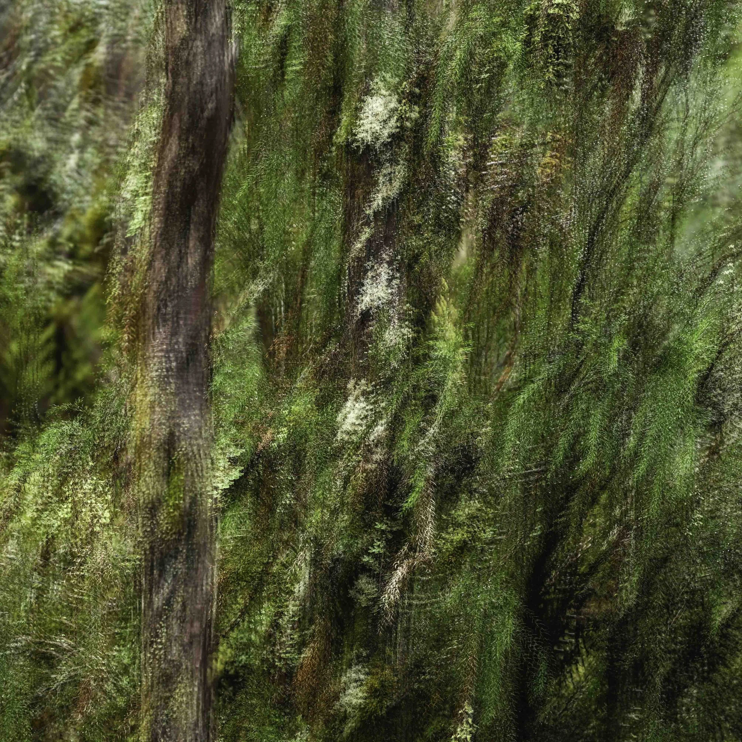 Places Within