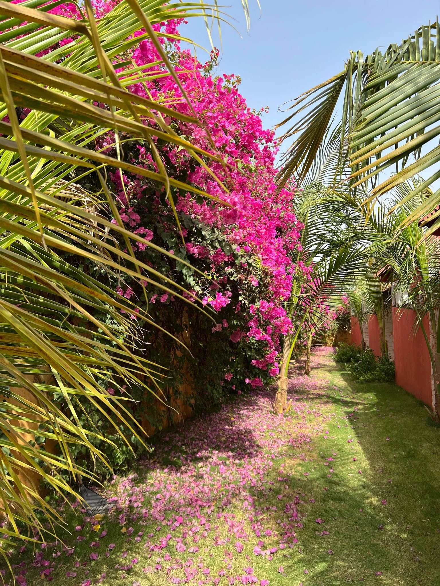 WhatsApp Image 2025-03-28 at 00.40.09 (2).jpeg