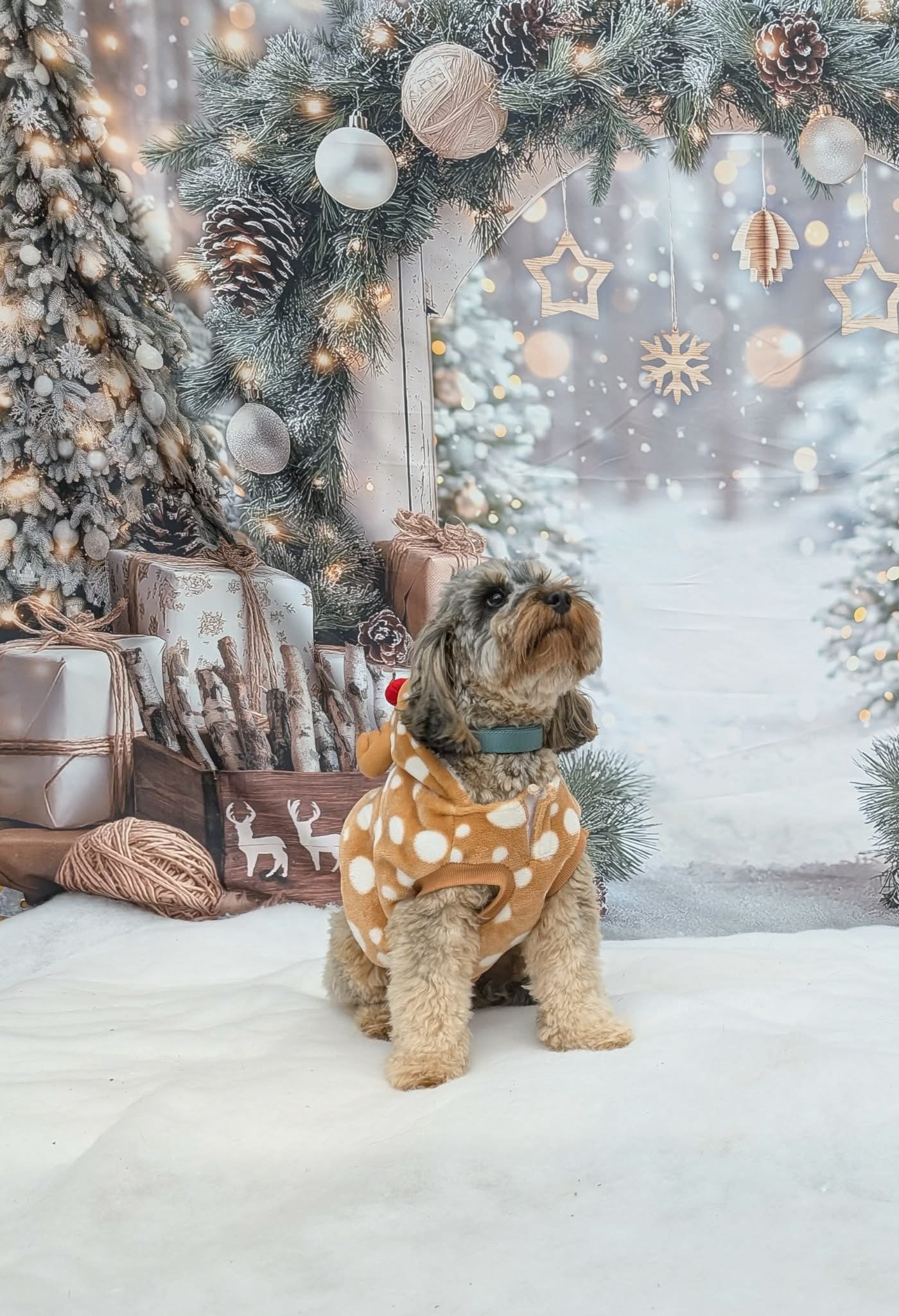 Christmas Party 2025 (12).jpeg