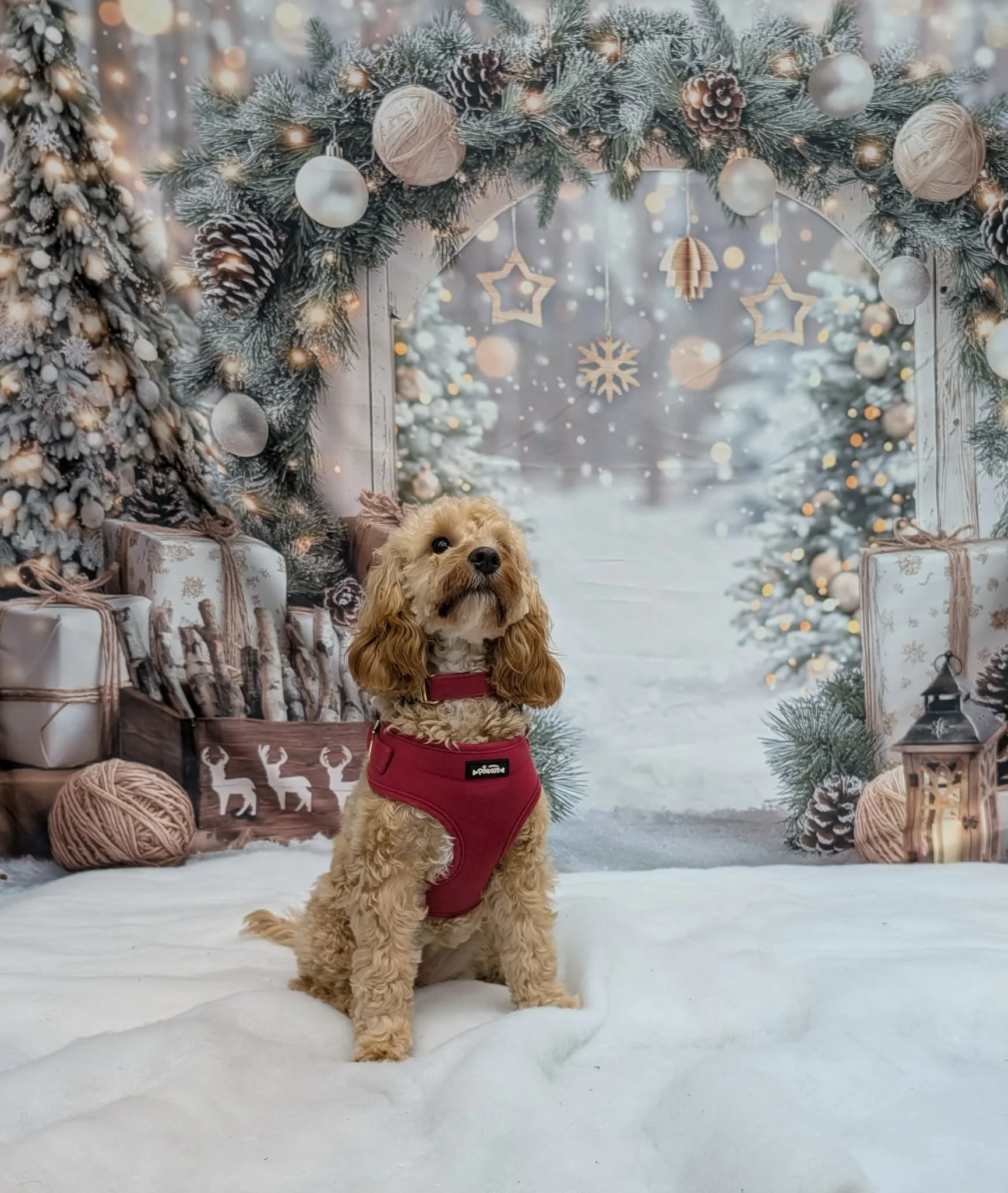 Christmas Party 2025 (13).jpeg