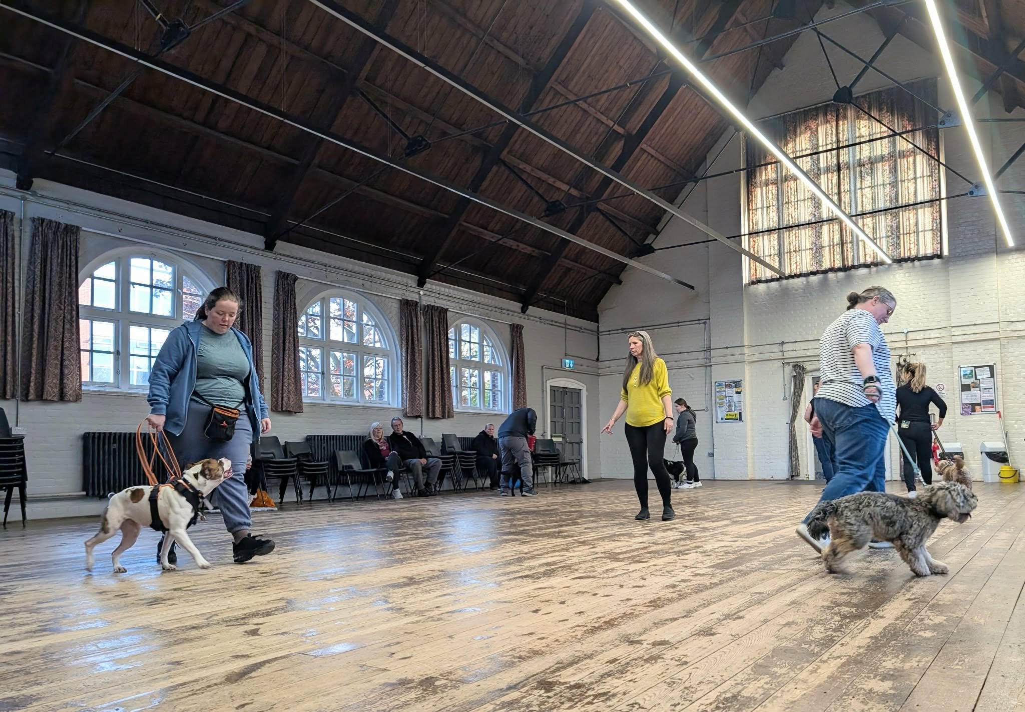 Website Image (7).jpeg