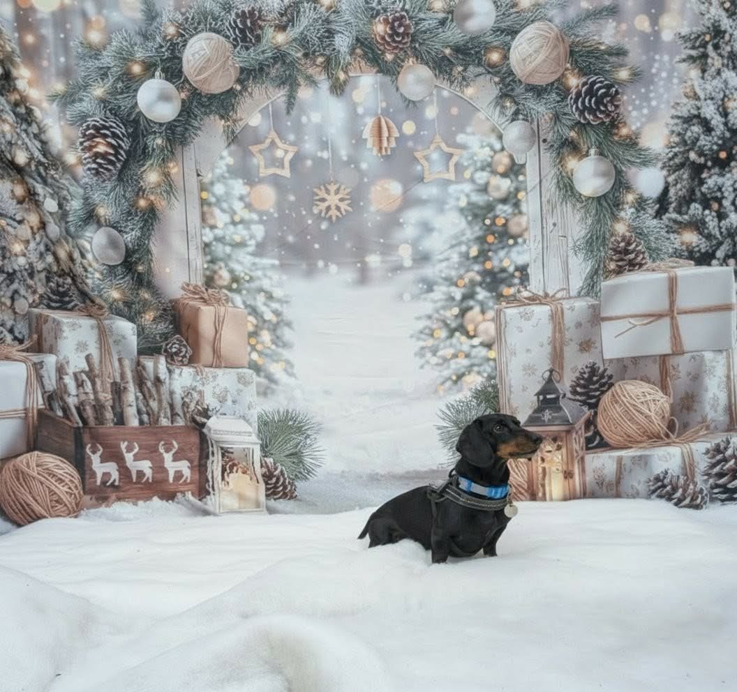 Christmas Party 2025 (19).jpeg