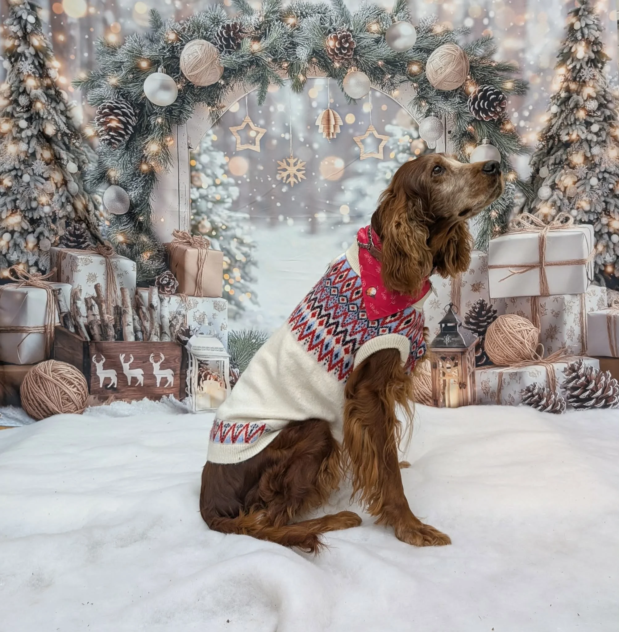 Christmas Party 2025 (20).jpeg