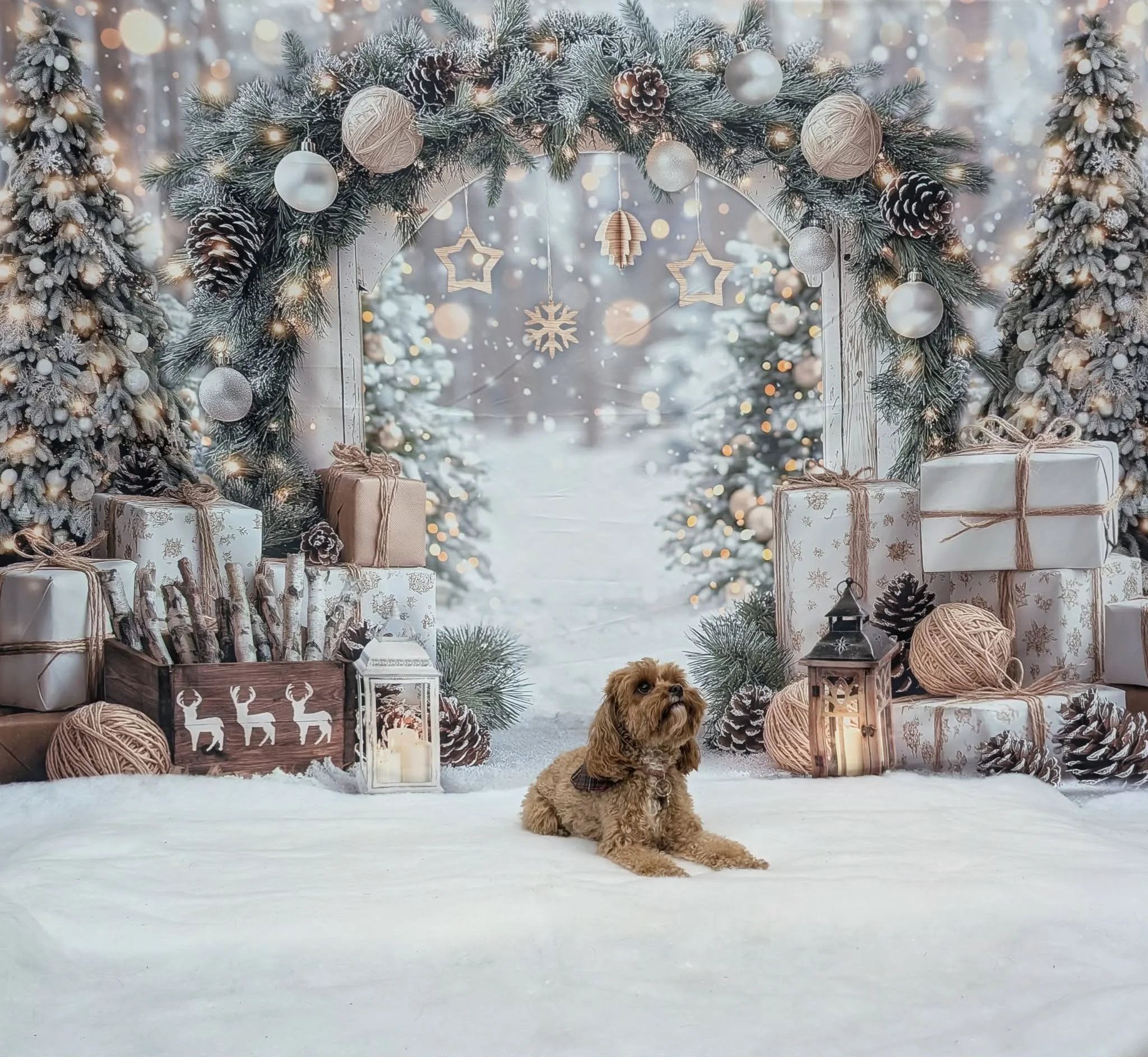 Christmas Party 2025 (7).jpeg