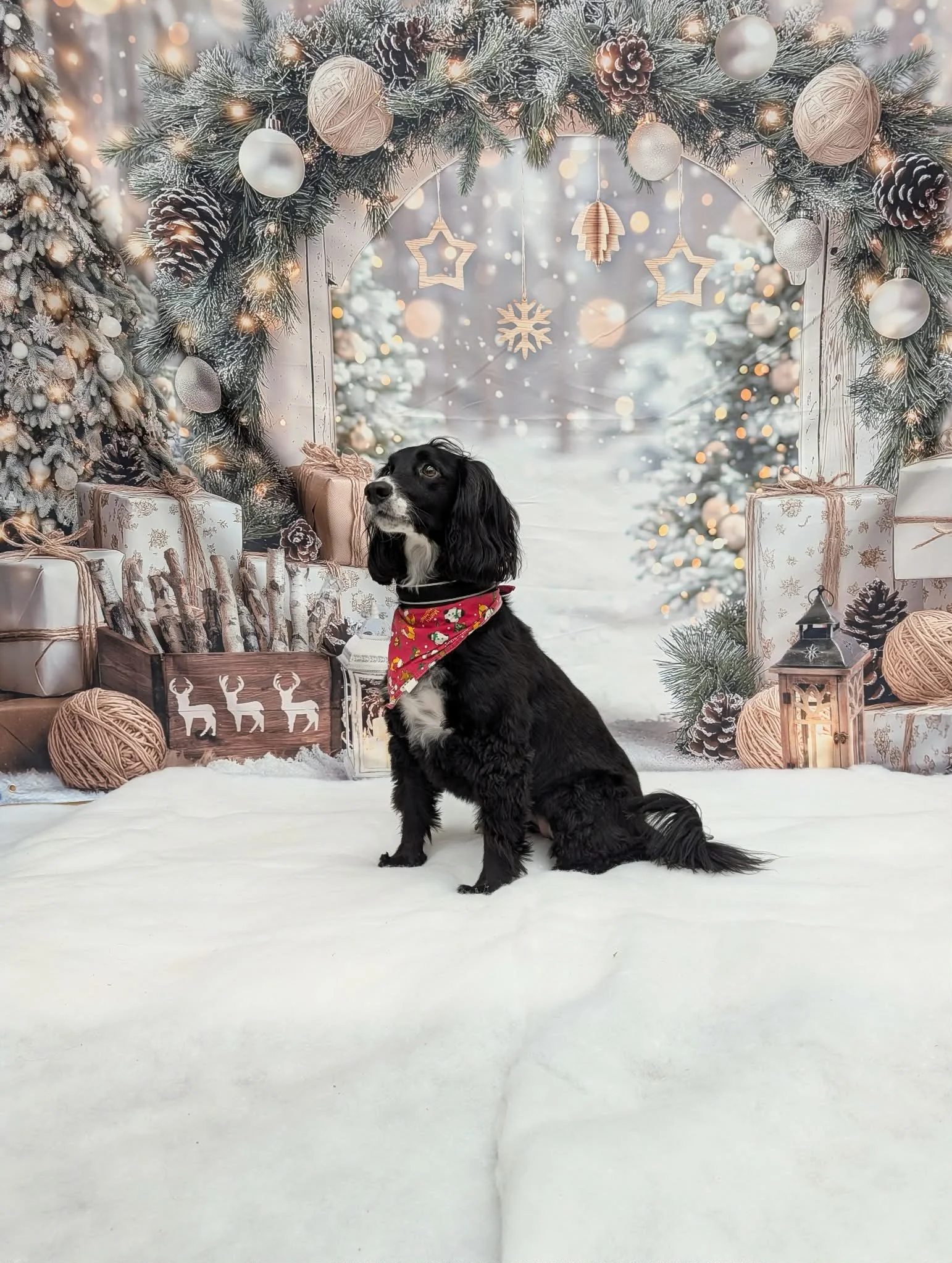 Christmas Party 2025 (5).jpeg