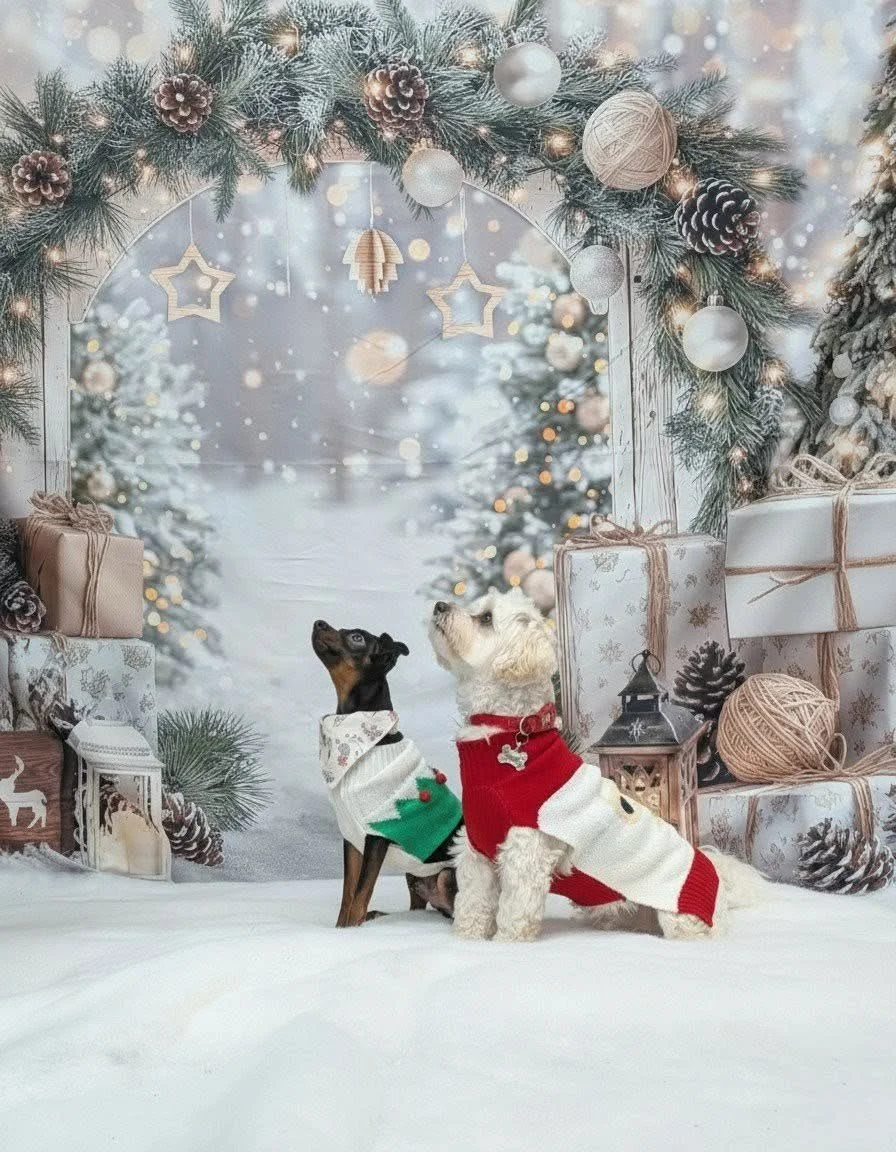 Christmas Party 2025 (14).jpeg