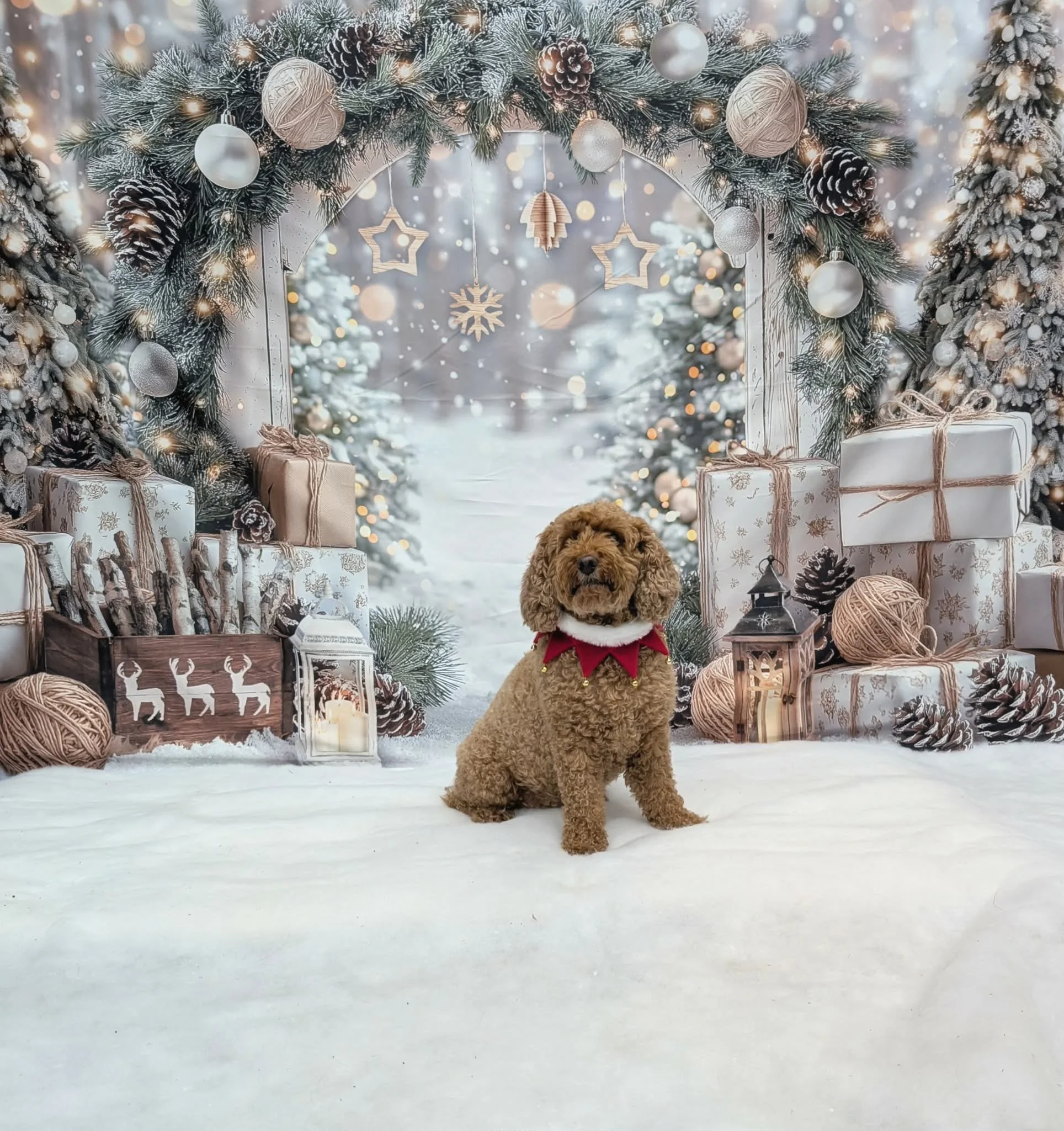 Christmas Party 2025 (10).jpeg