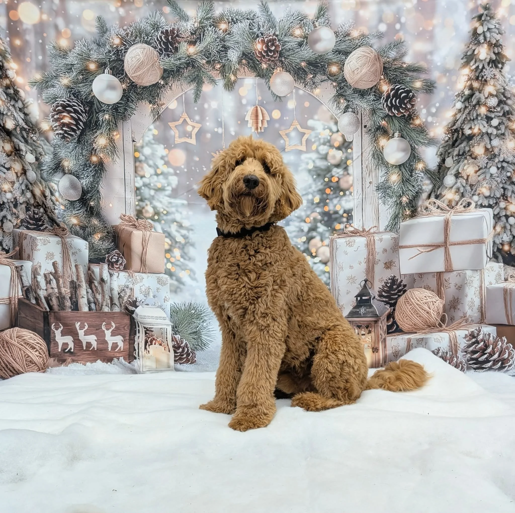 Christmas Party 2025 (15).jpeg