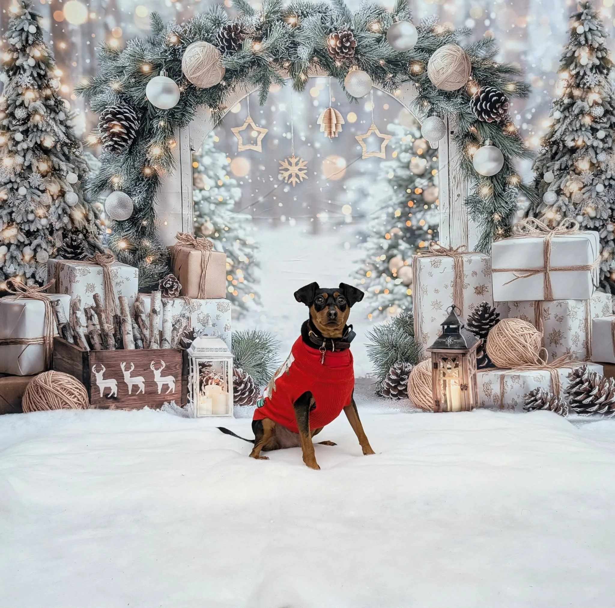 Christmas Party 2025 (8).jpeg