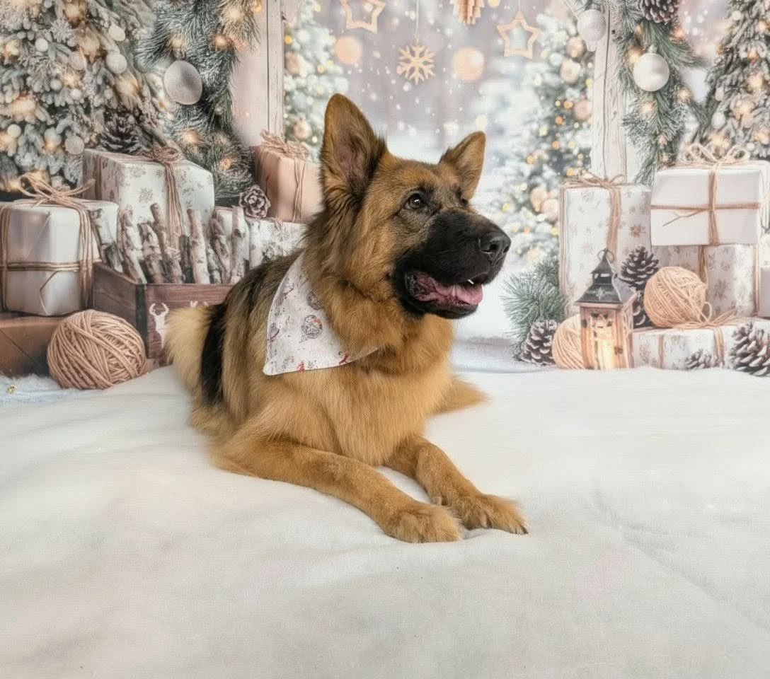 Christmas Party 2025 (24).jpeg