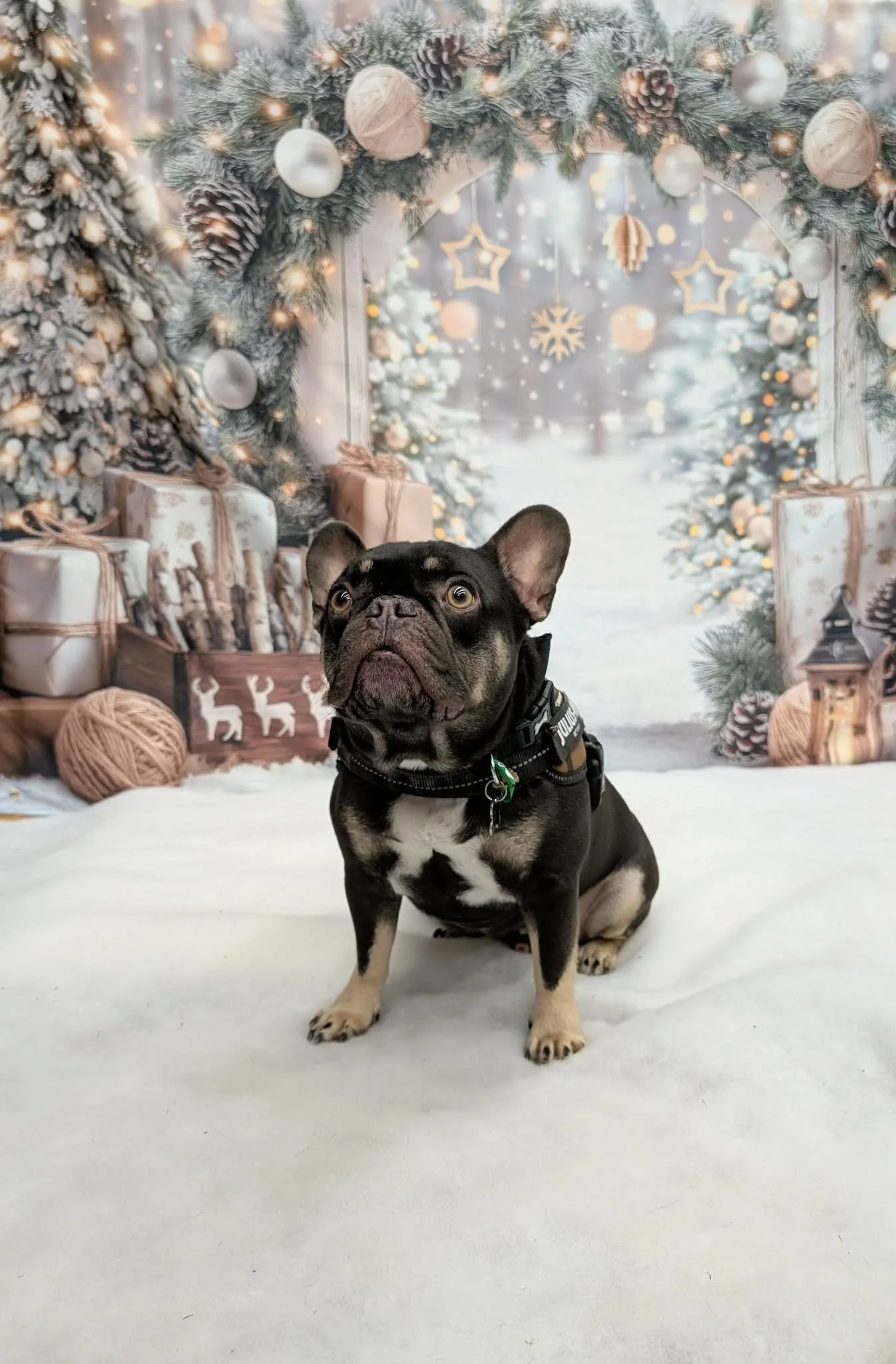 Christmas Party 2025 (18).jpeg