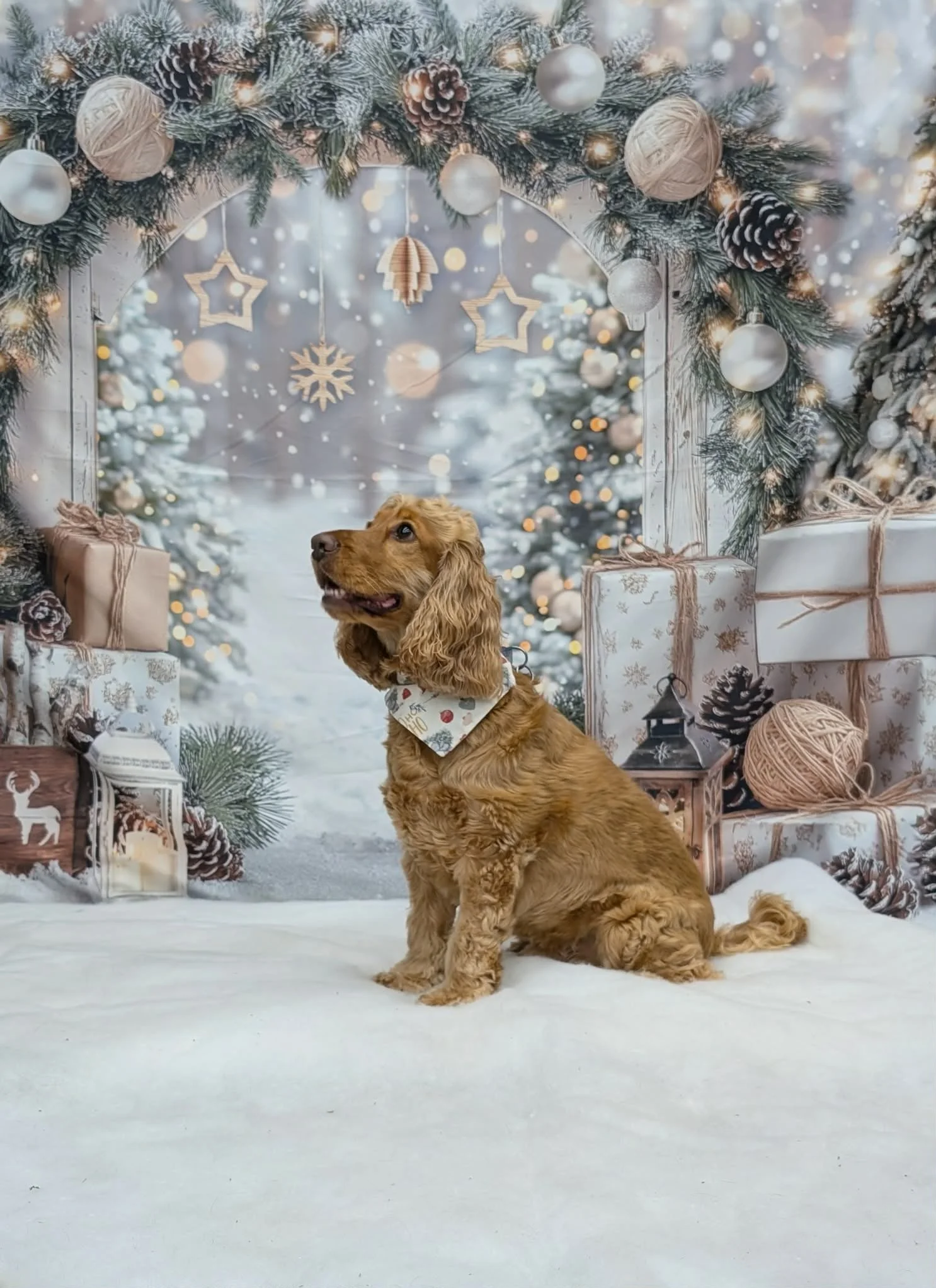 Christmas Party 2025 (16).jpeg