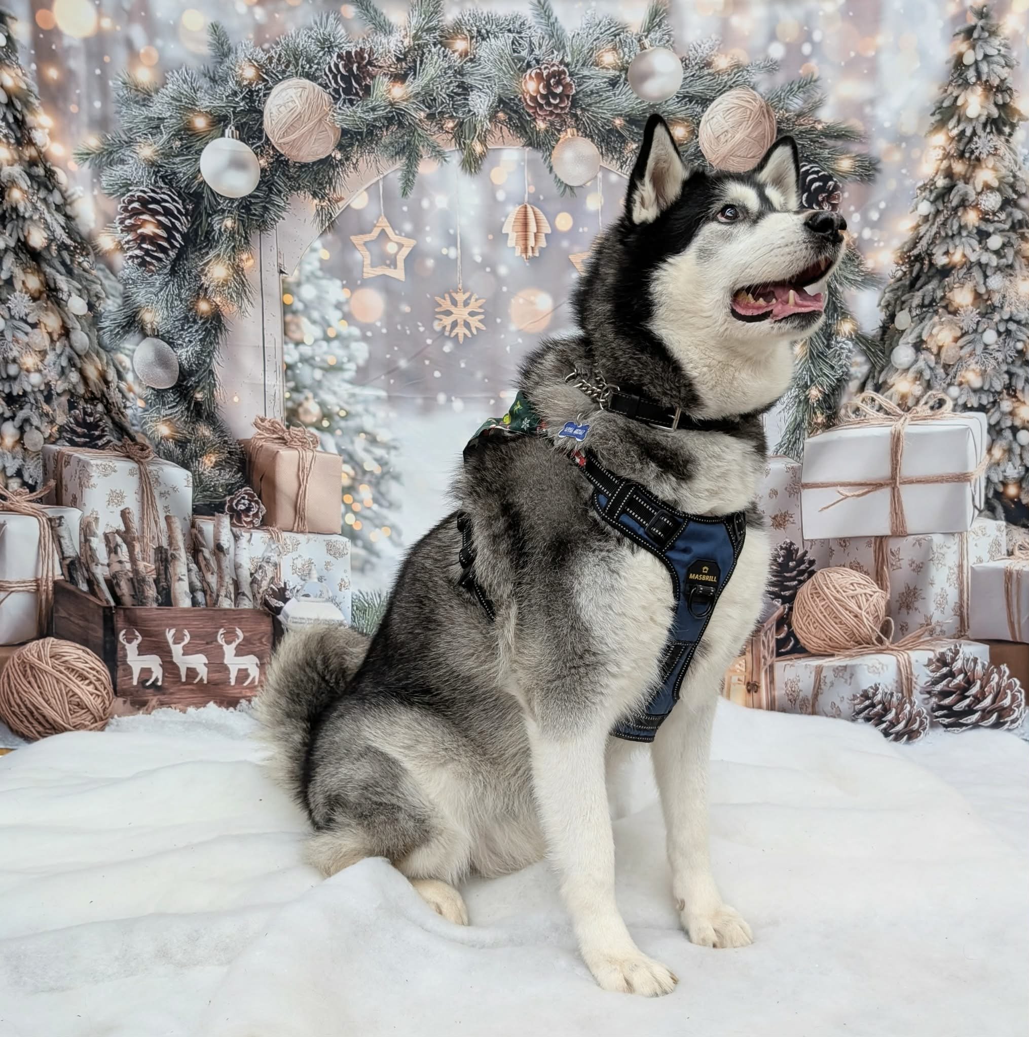 Christmas Party 2025 (17).jpeg