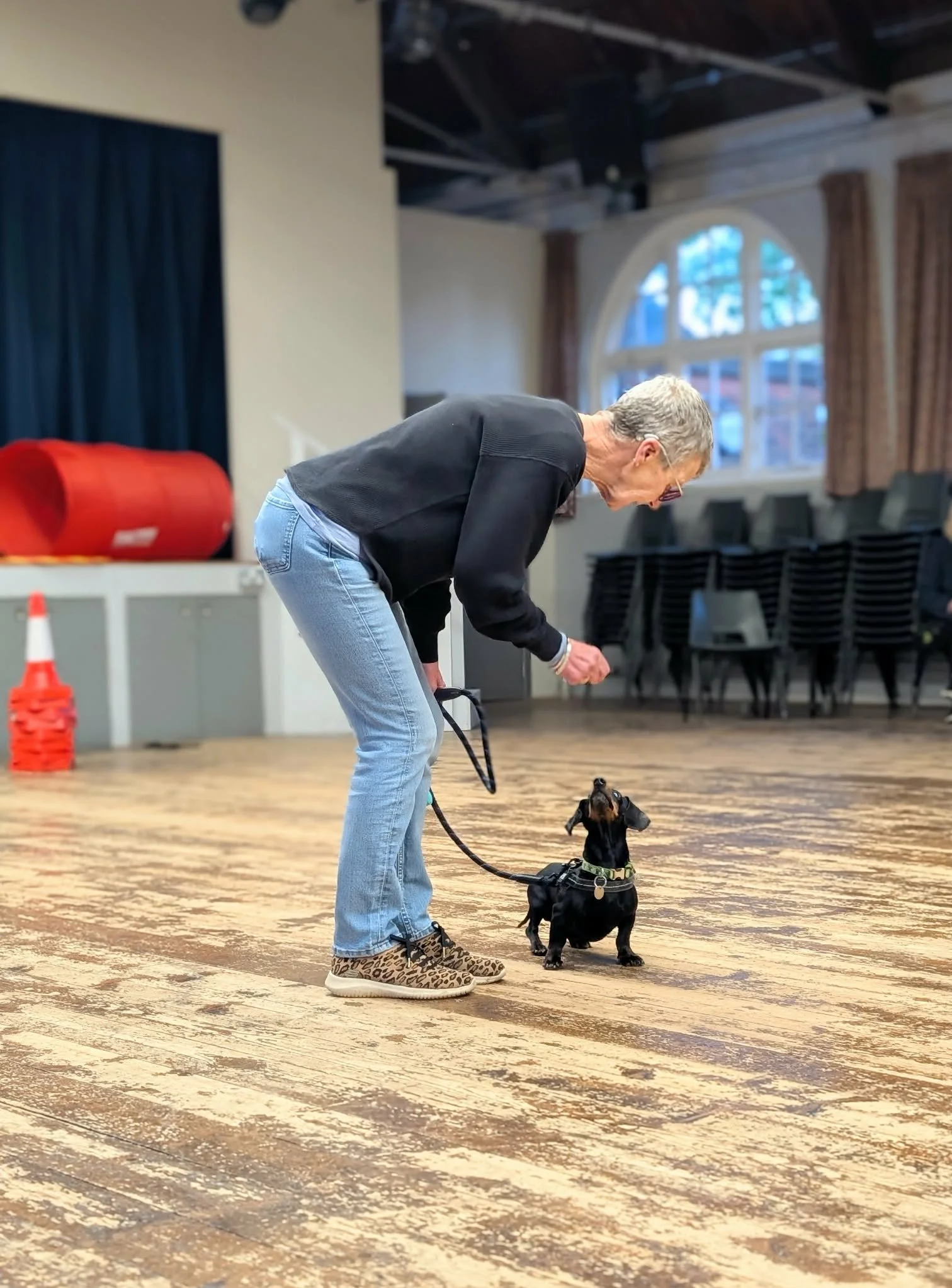 Website Image (1).jpeg