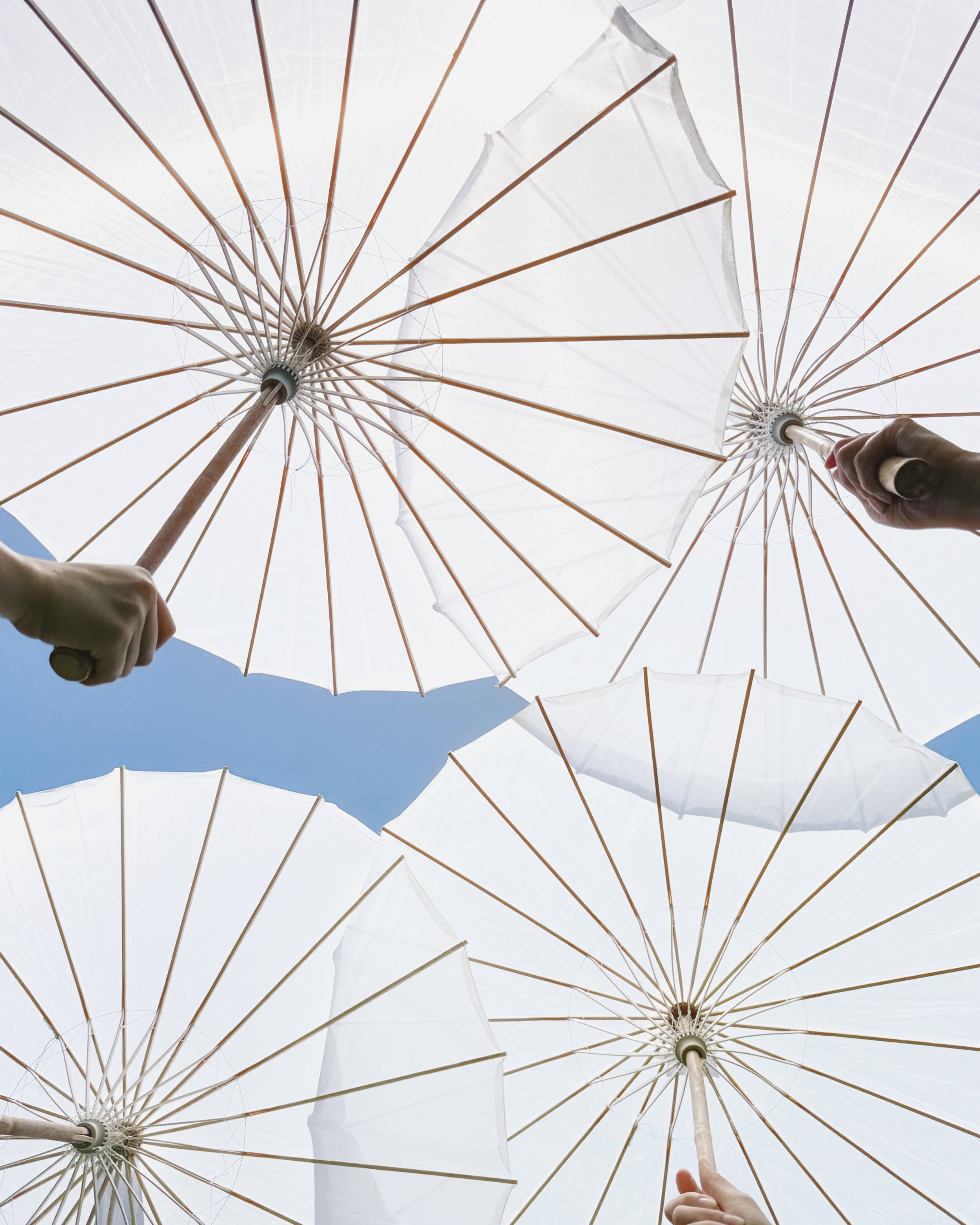 White Parasol