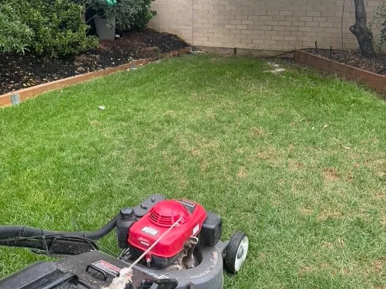 How Much Does Lawn Mowing Cost in Geelong? (2026 Guide)