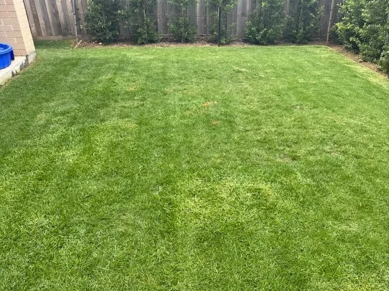 Lawn Mowing Mount Duneed: A Local Guide