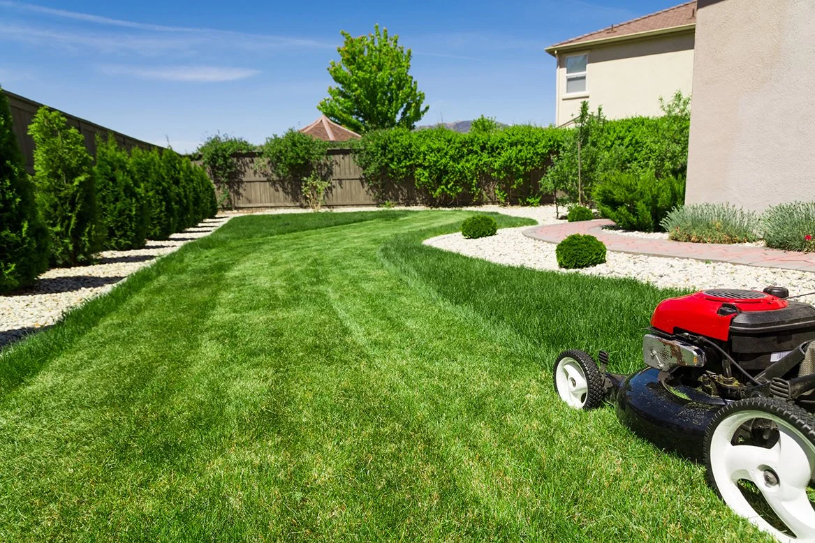 Residential lawn mowing service in Torquay delivering reliable ongoing lawn maintenance
