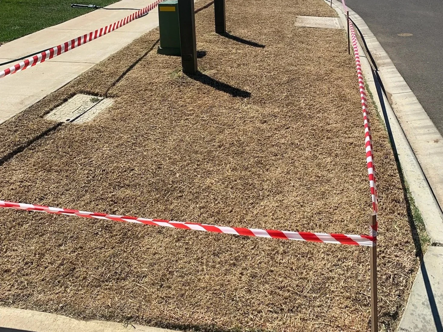 Nature strip lawn scalped and taped off during a lawn renovation in Geelong by Lawn Sorted