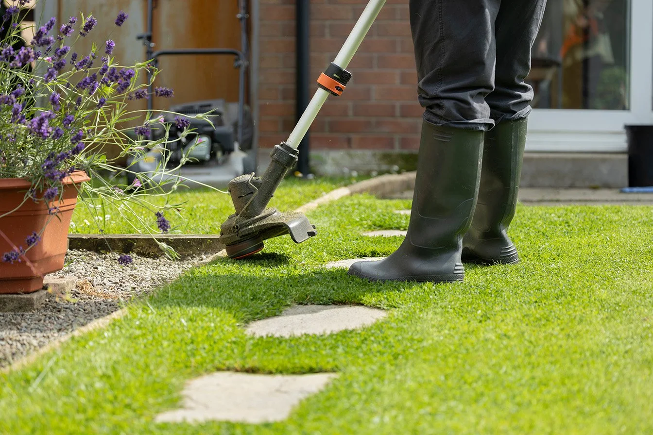 Ongoing lawn maintenance service in Geelong
