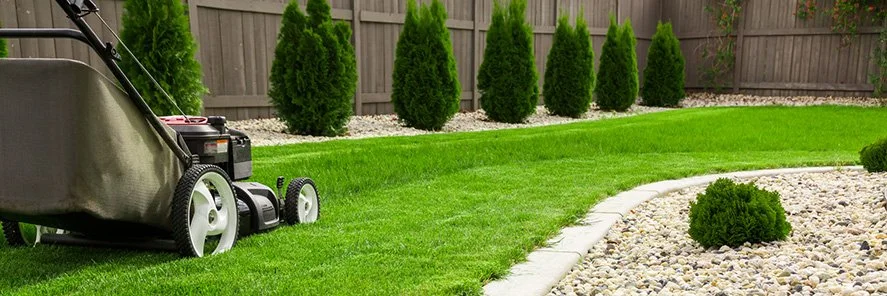 Professional lawn mowing and edging service in Geelong