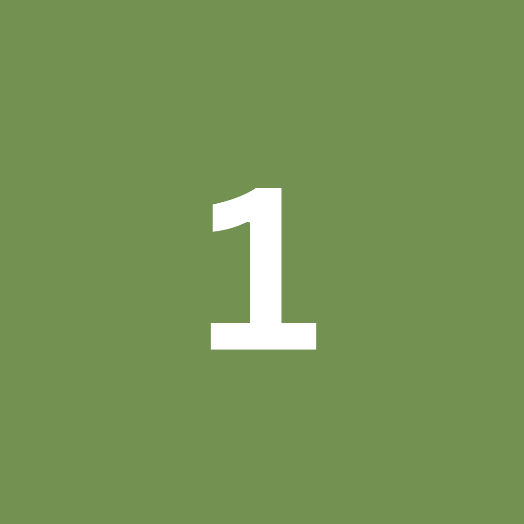 Number 1 on a green background