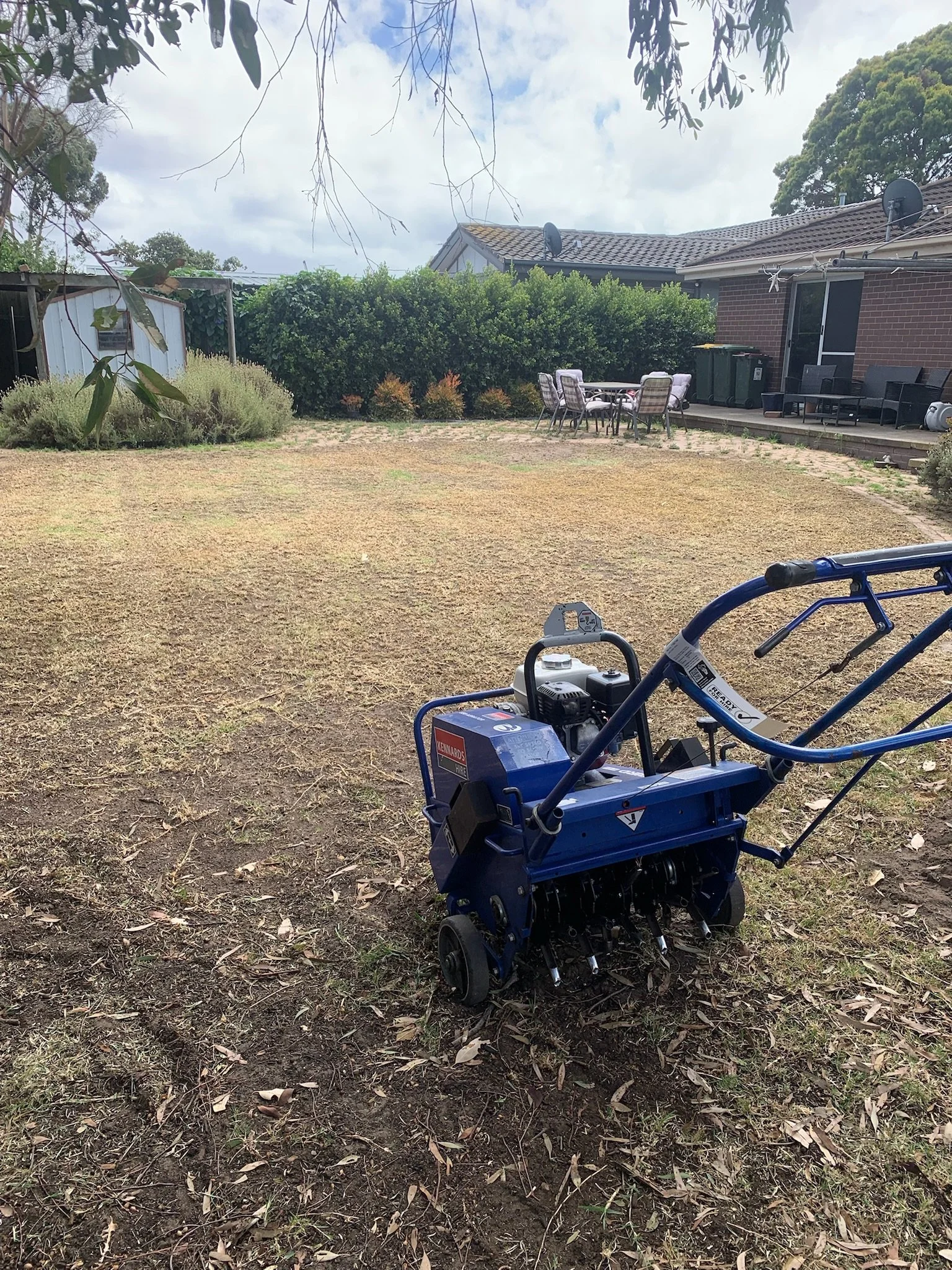 Lawn Sorted team completing a backyard lawn renovation in Geelong — scarifying and cultivation equipment on site.