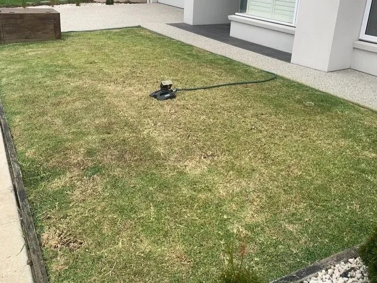 Lawn Mowing Geelong: What to Look for Before You Book