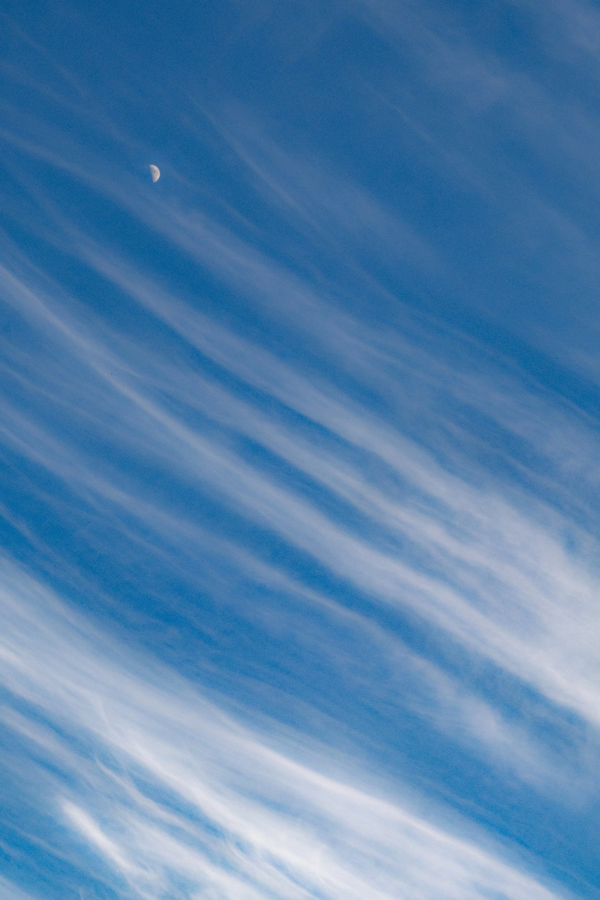 FUJI6683-Enhanced-RD.jpg