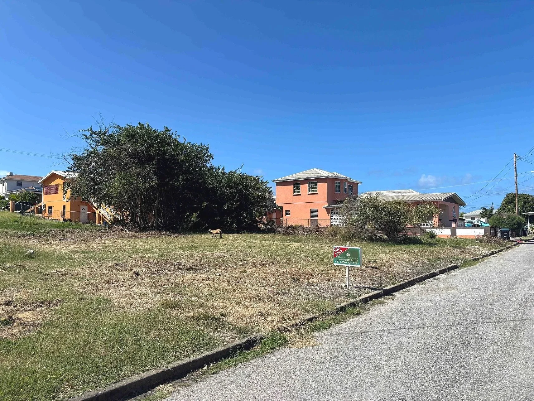 View looking N over lot and showing road frontage