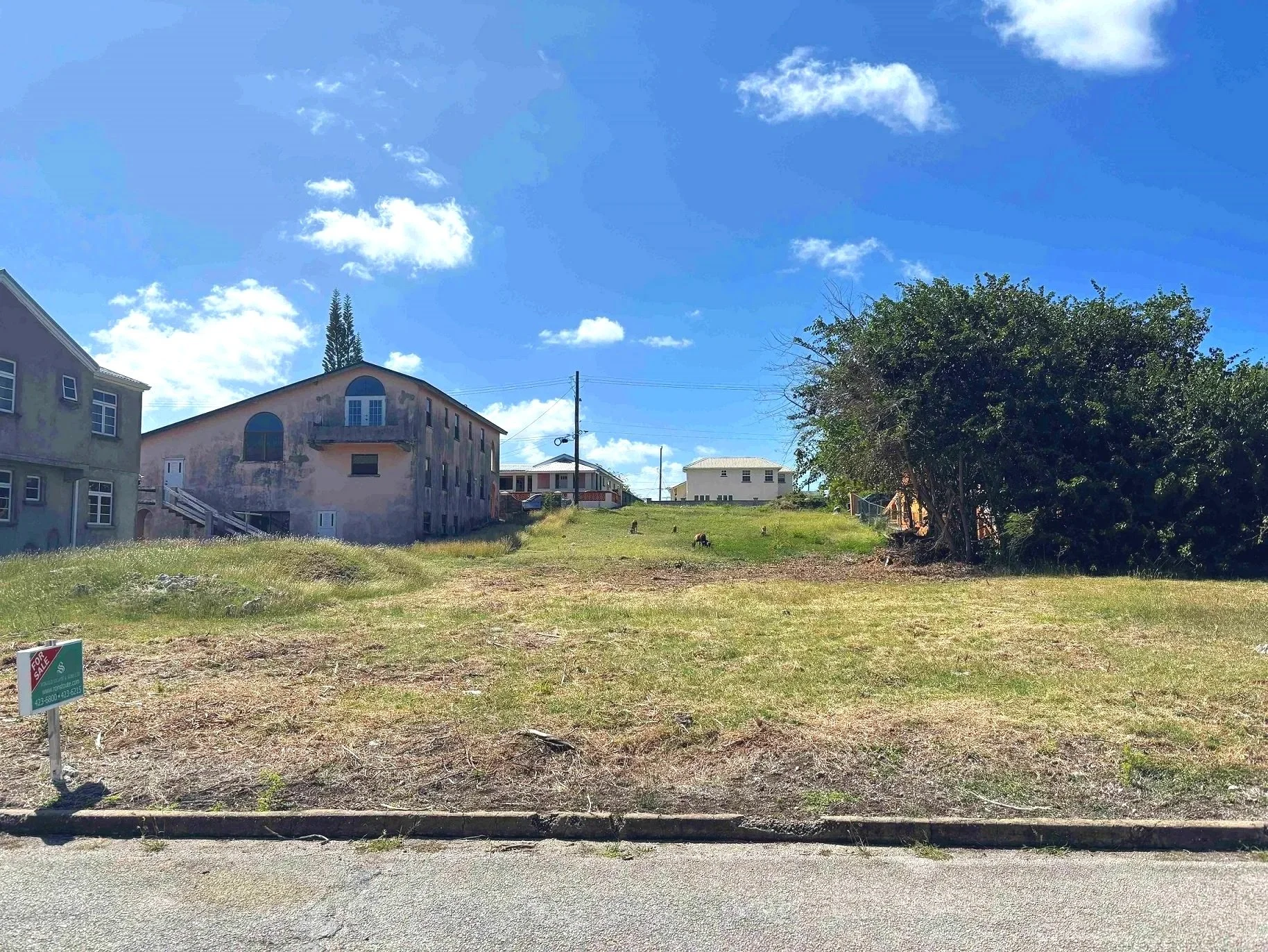 View looking NW over lot from road