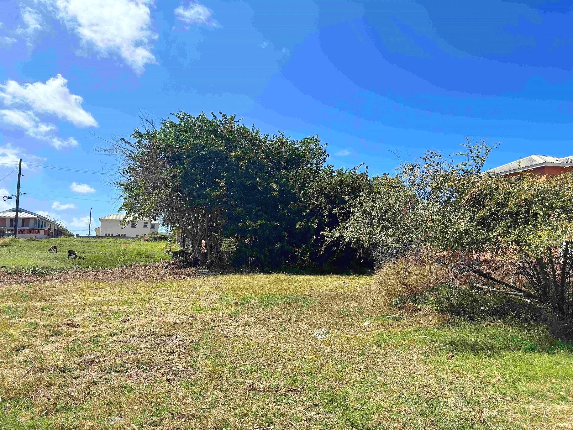 View from lot looking NW