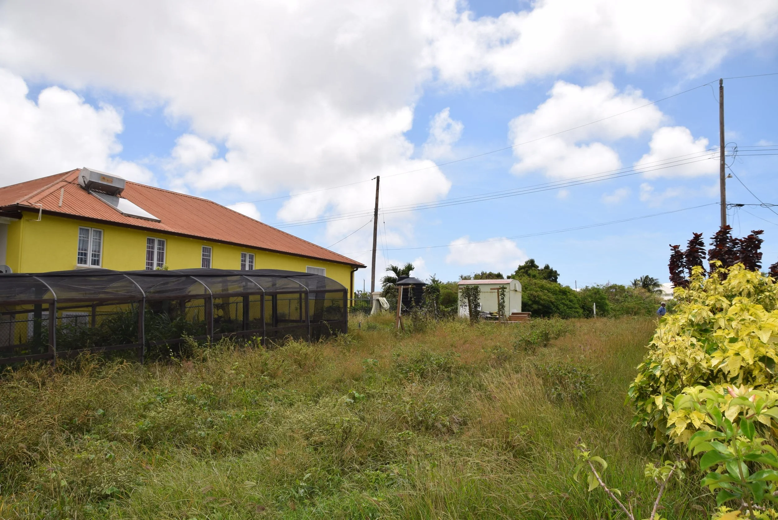 View from rear of property, looking east towards development road