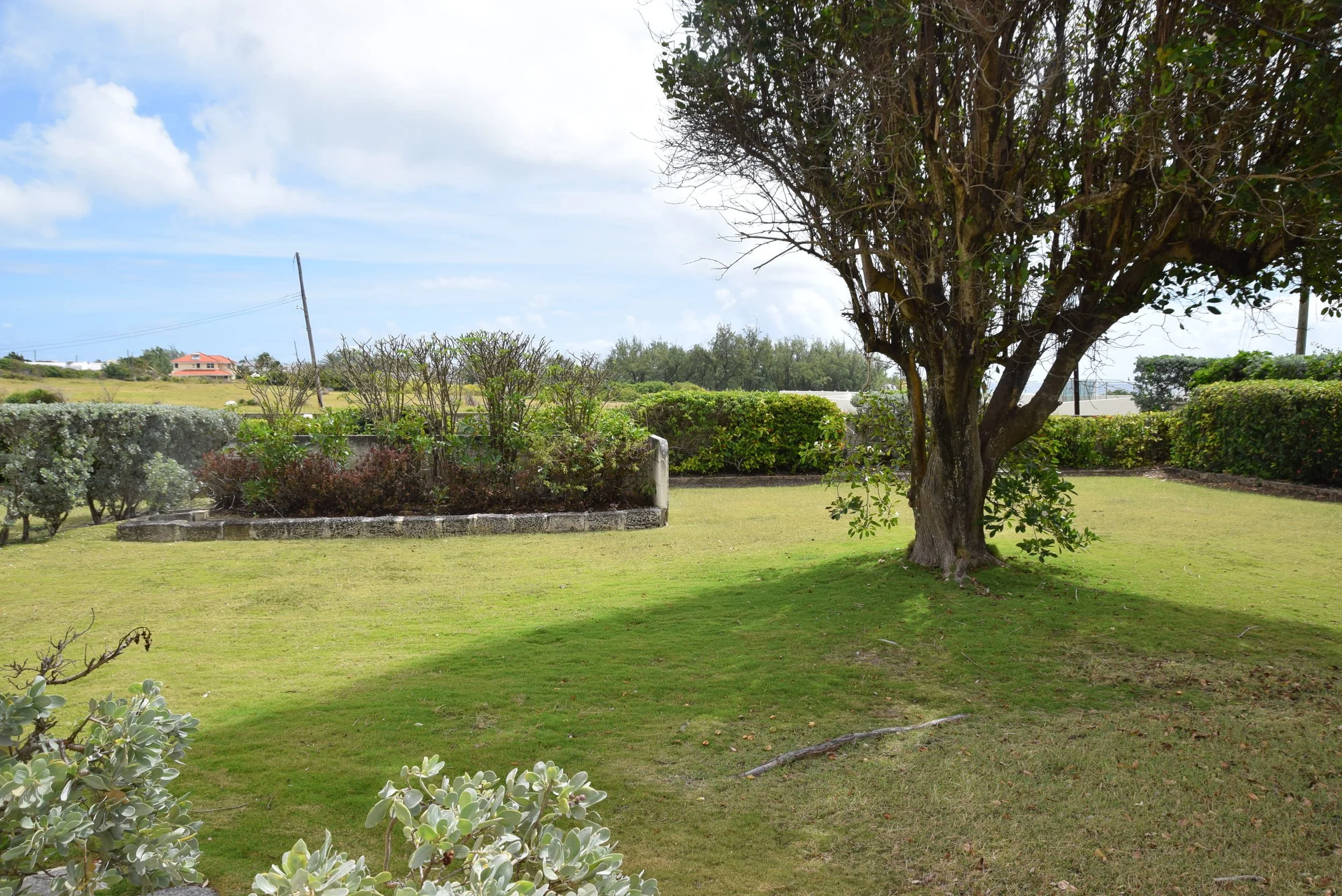 View of lawn & gardens from apartment