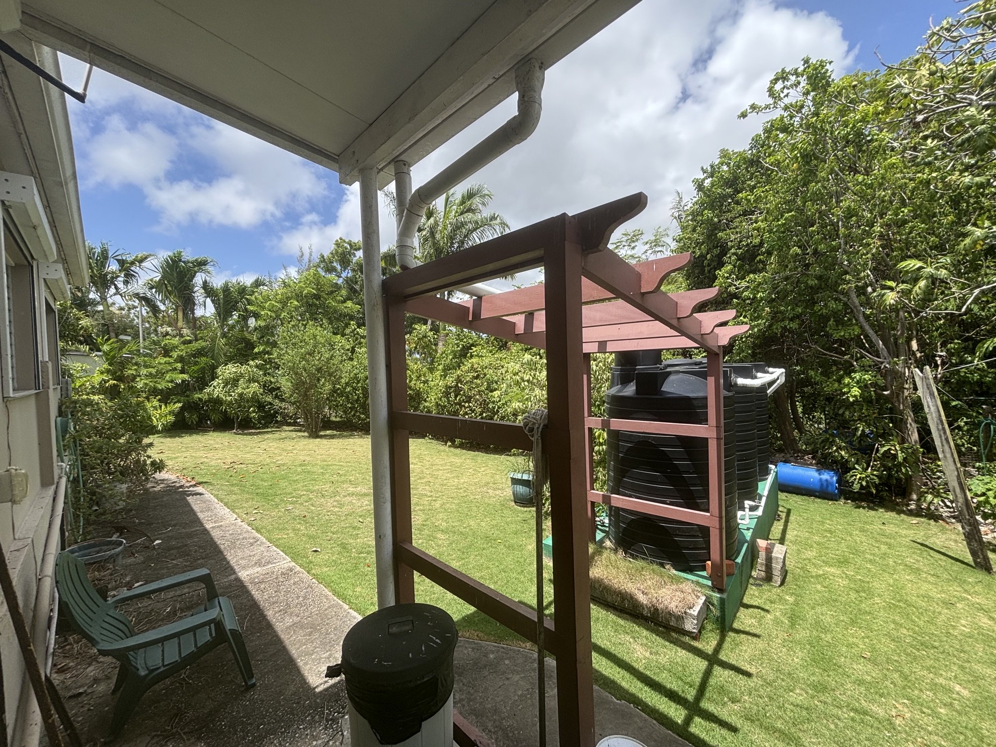 Back garden 