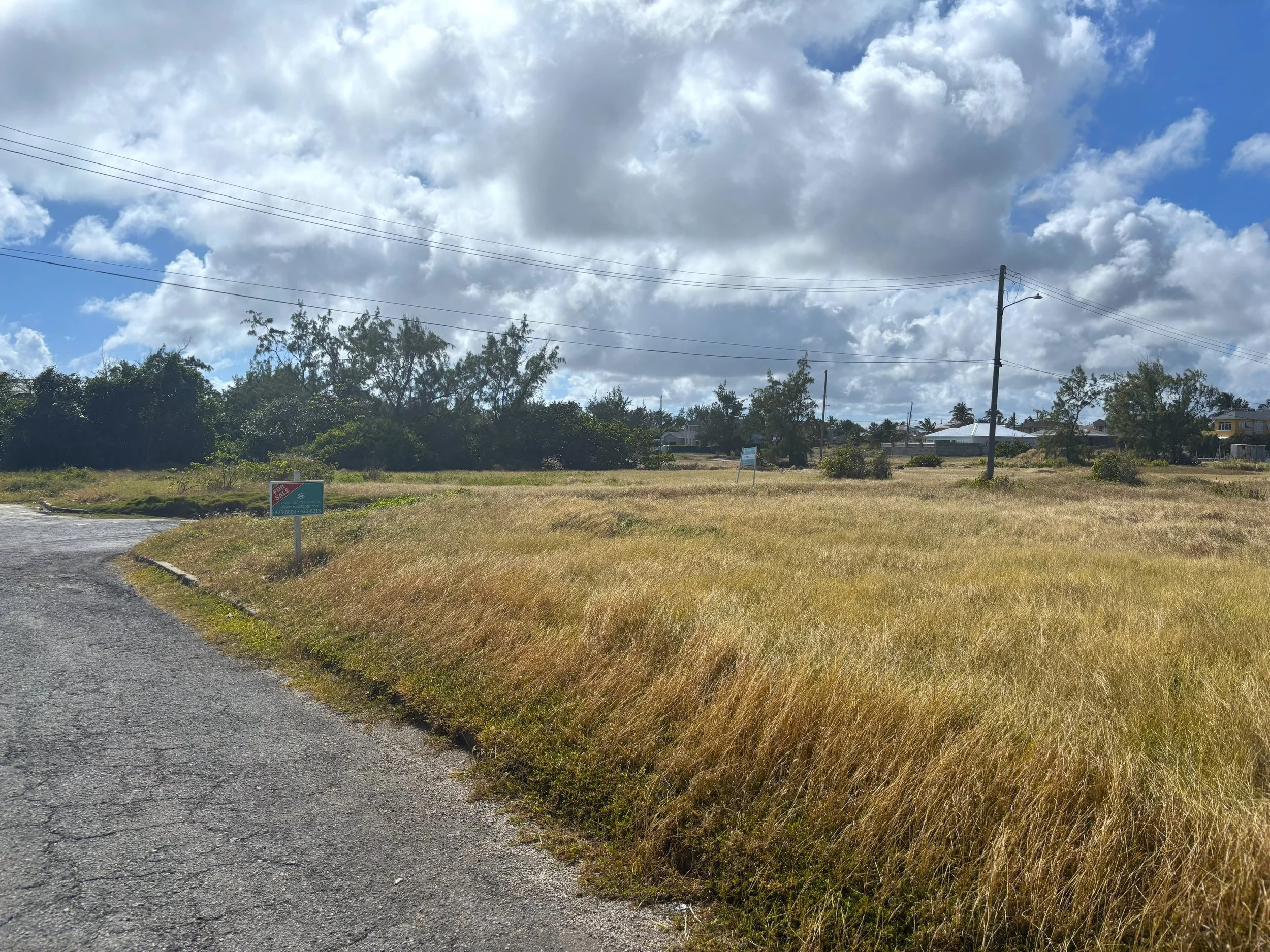 View from development road looking west, with lot 170 on the right.