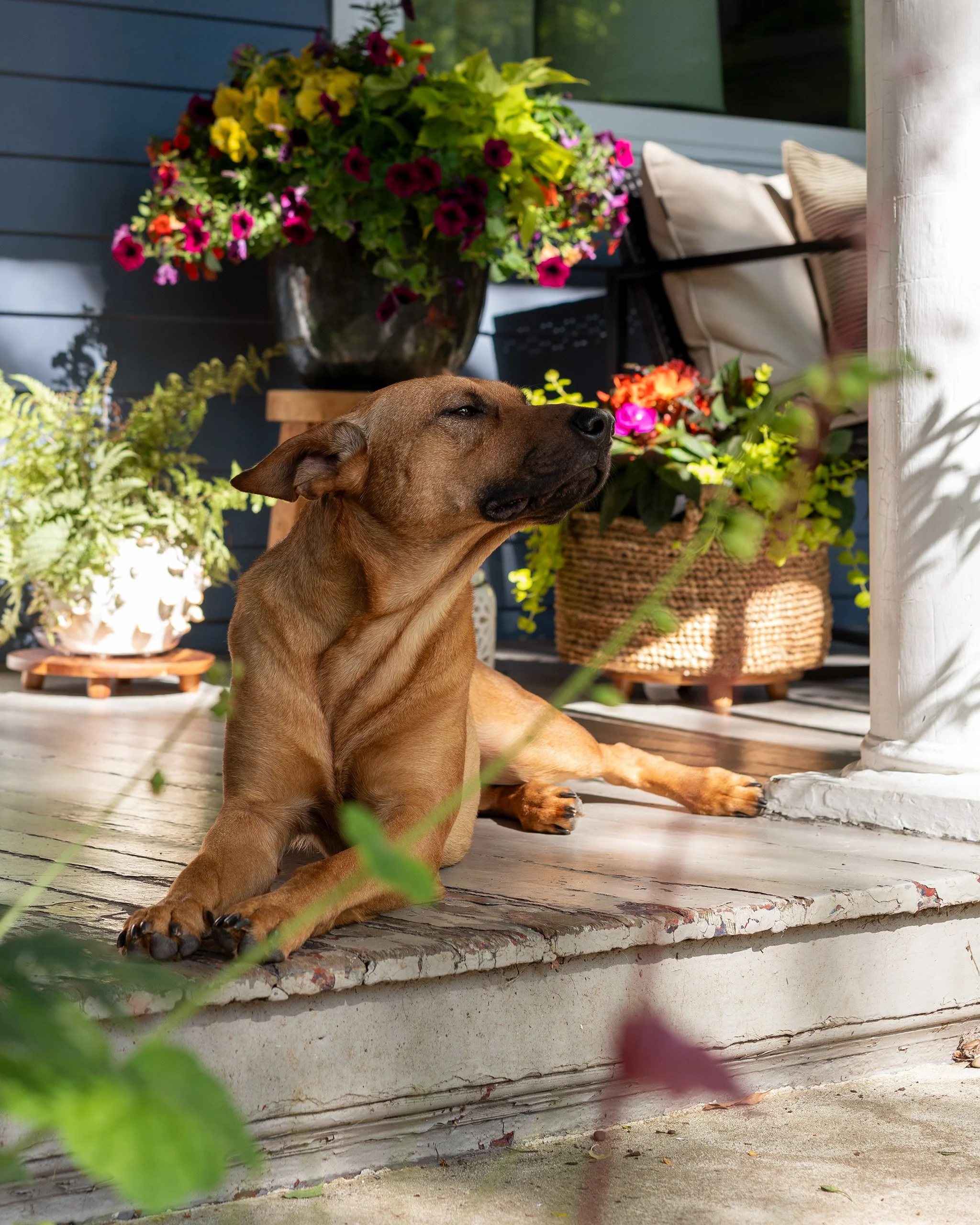 Rediger_Design_Spring_Porch_Design_Renna.jpg