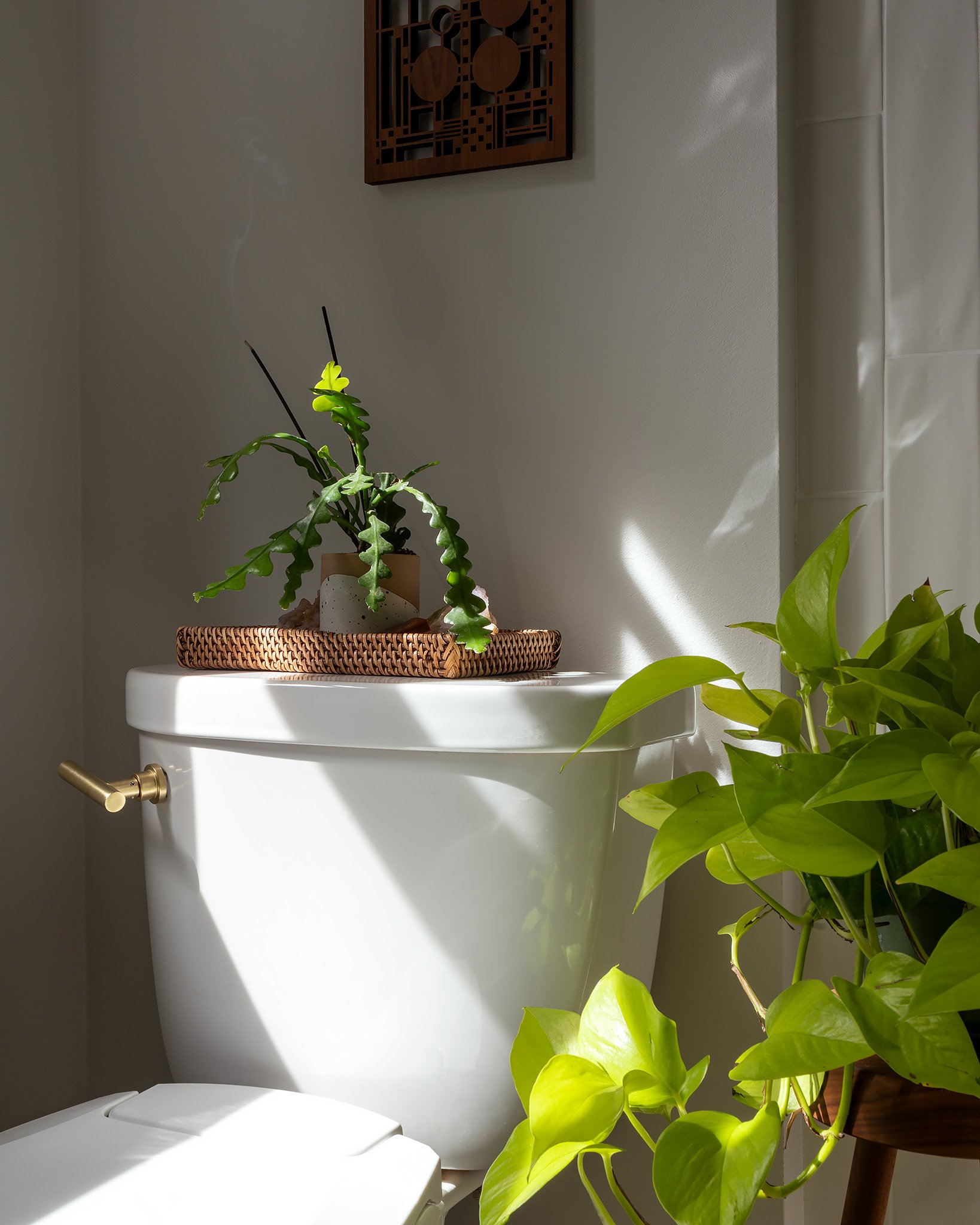 rediger-design-home-downstairs-bathroom-toilet-smoke-detail_01.jpg