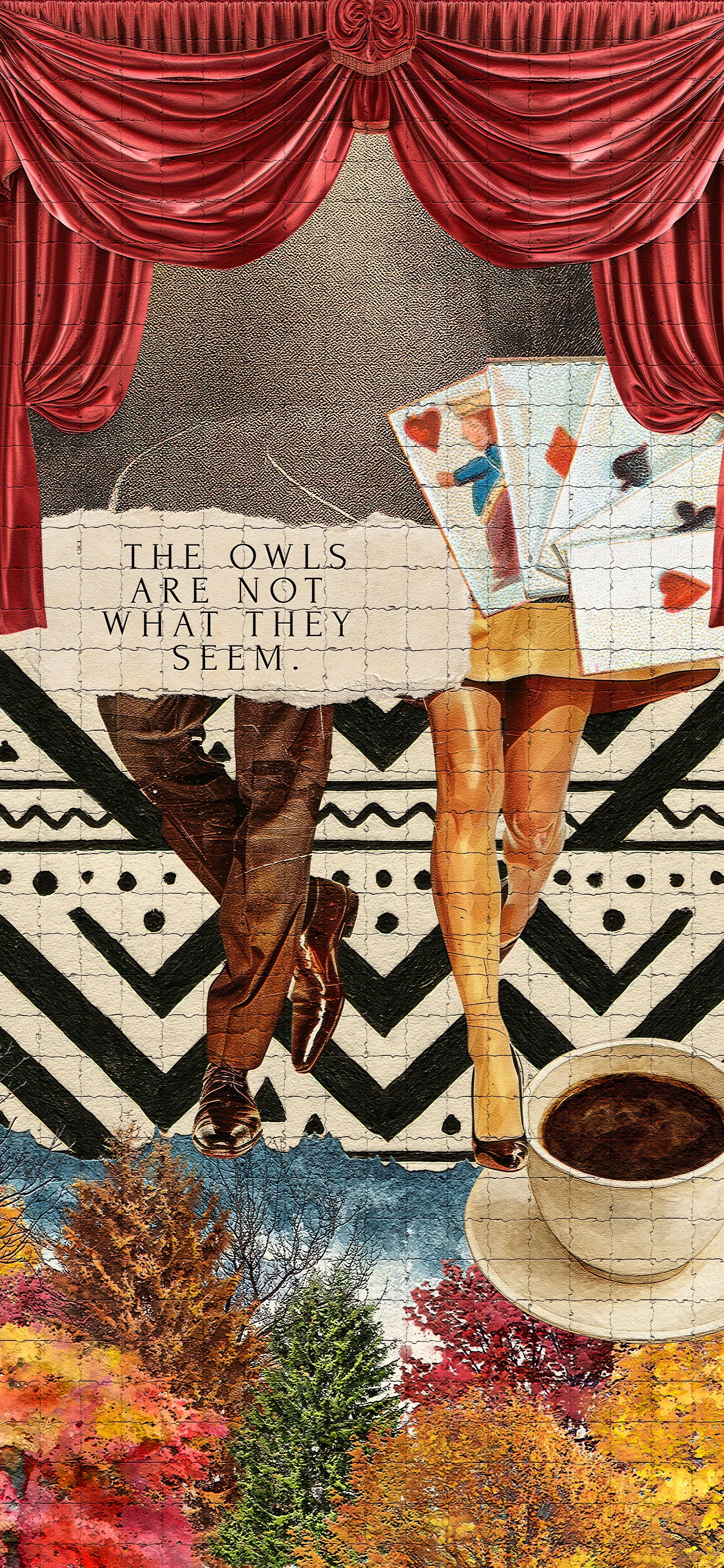 The Owls Are Not What they seem.jpg